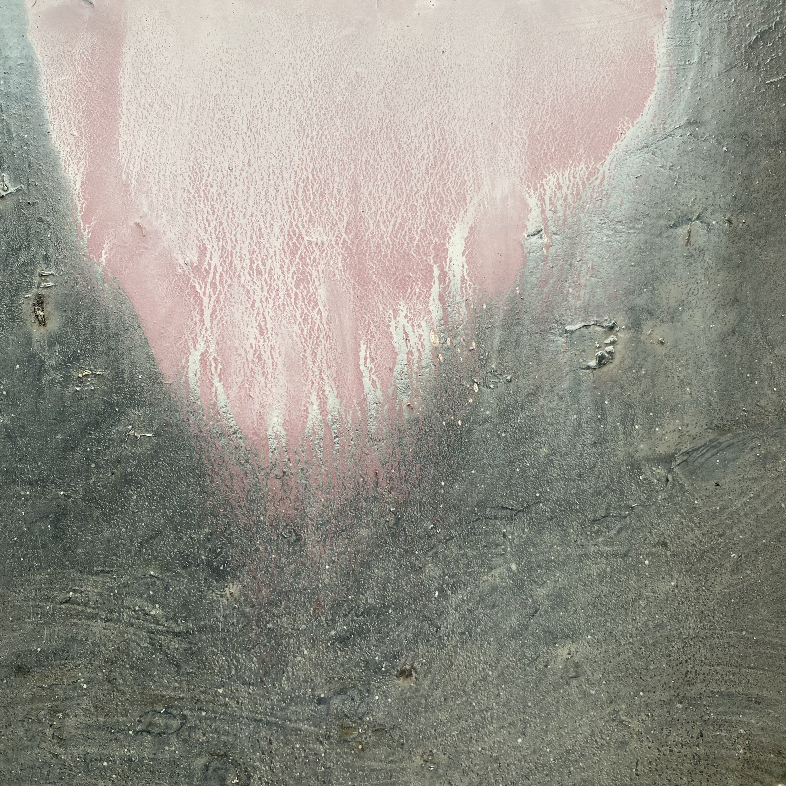 small pink cloud poised. oil on panel. 2025. susie david - detail