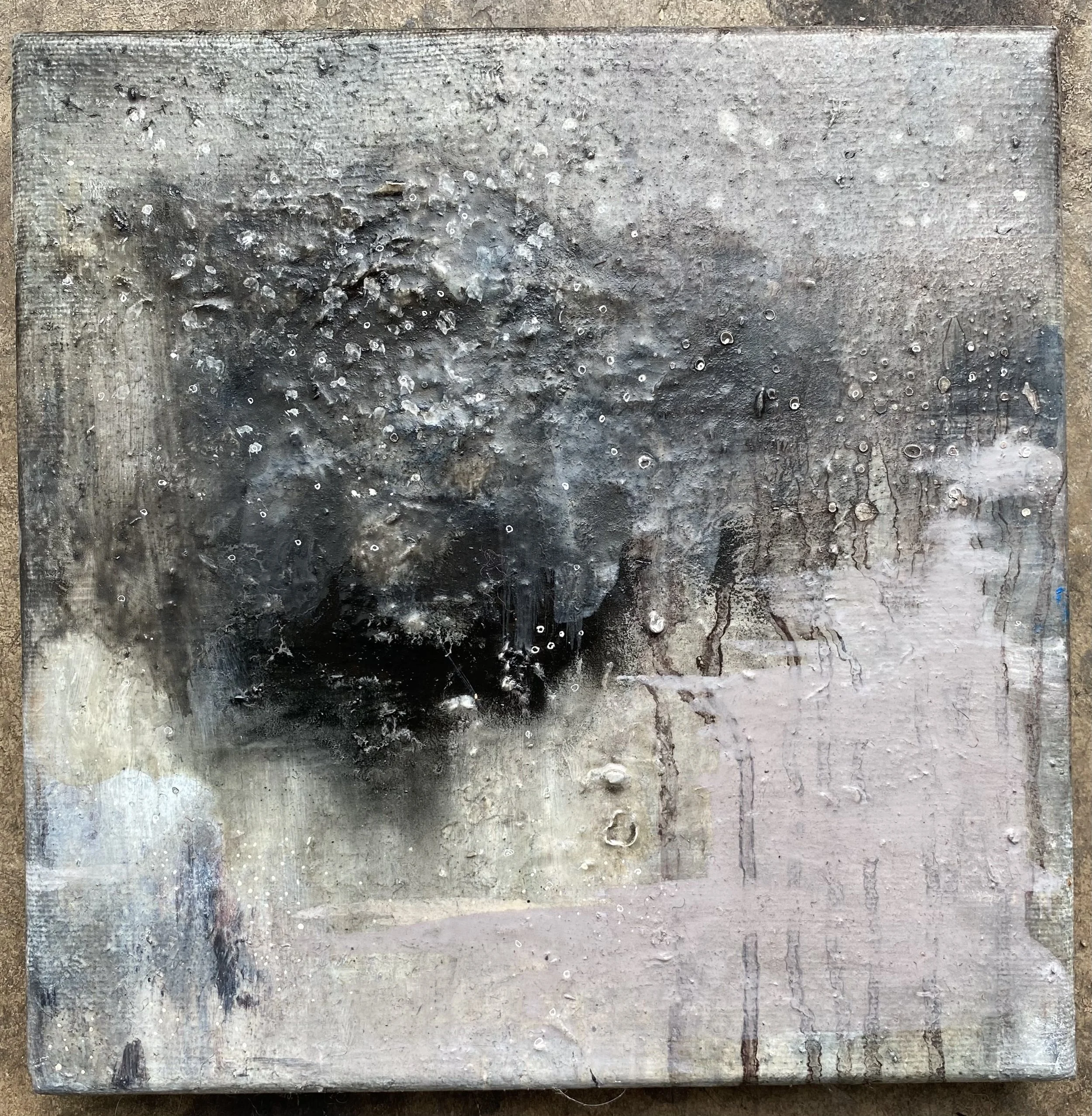 Small Reflection. 20x20 Oil on canvas. 2025 susie david