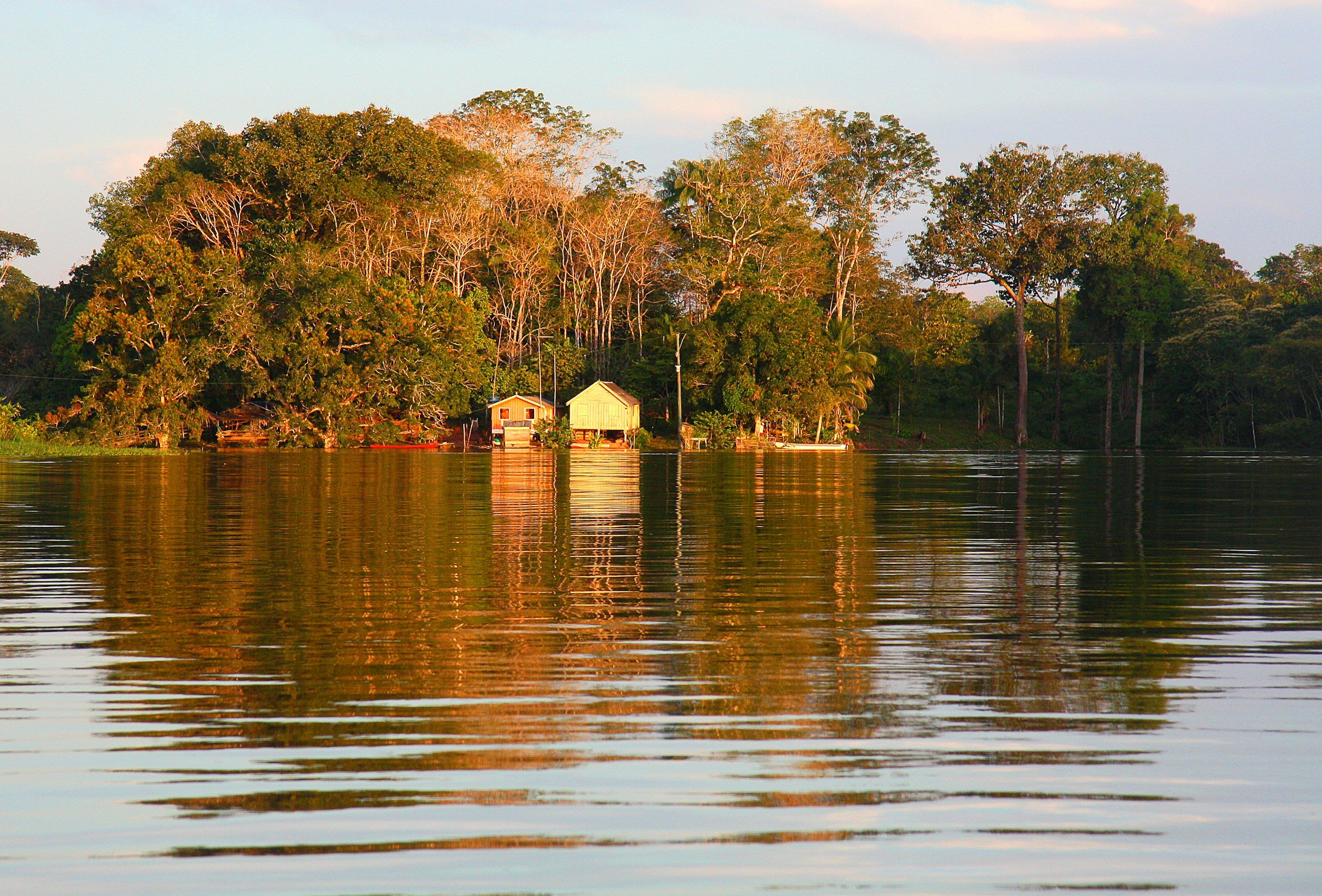 A serene lakeside scene with green trees and two small houses, one yellow and one green, on the shore during sunset, with reflections on the calm water. Houses in the jungle along the river.