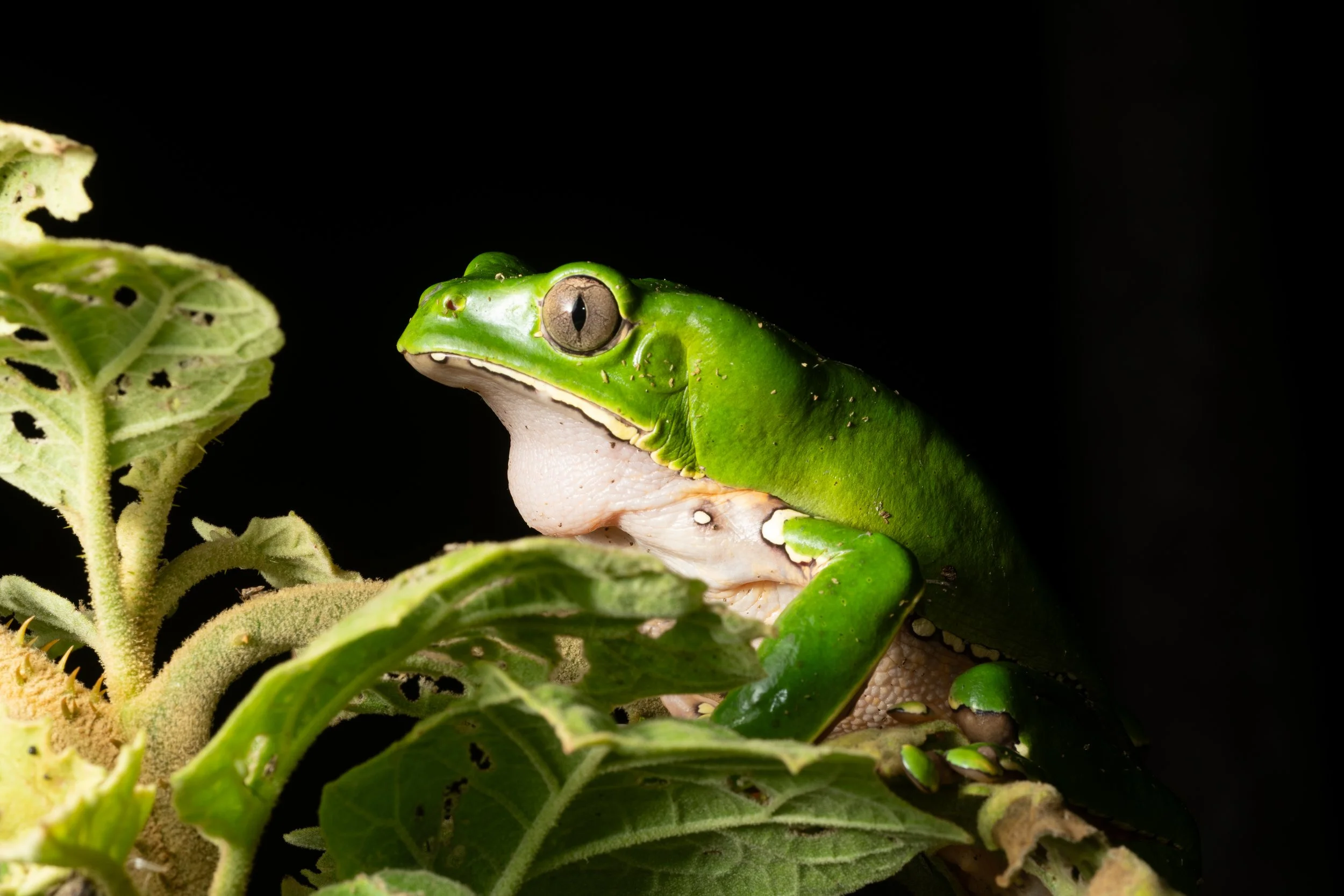 DSC_6637.jpg