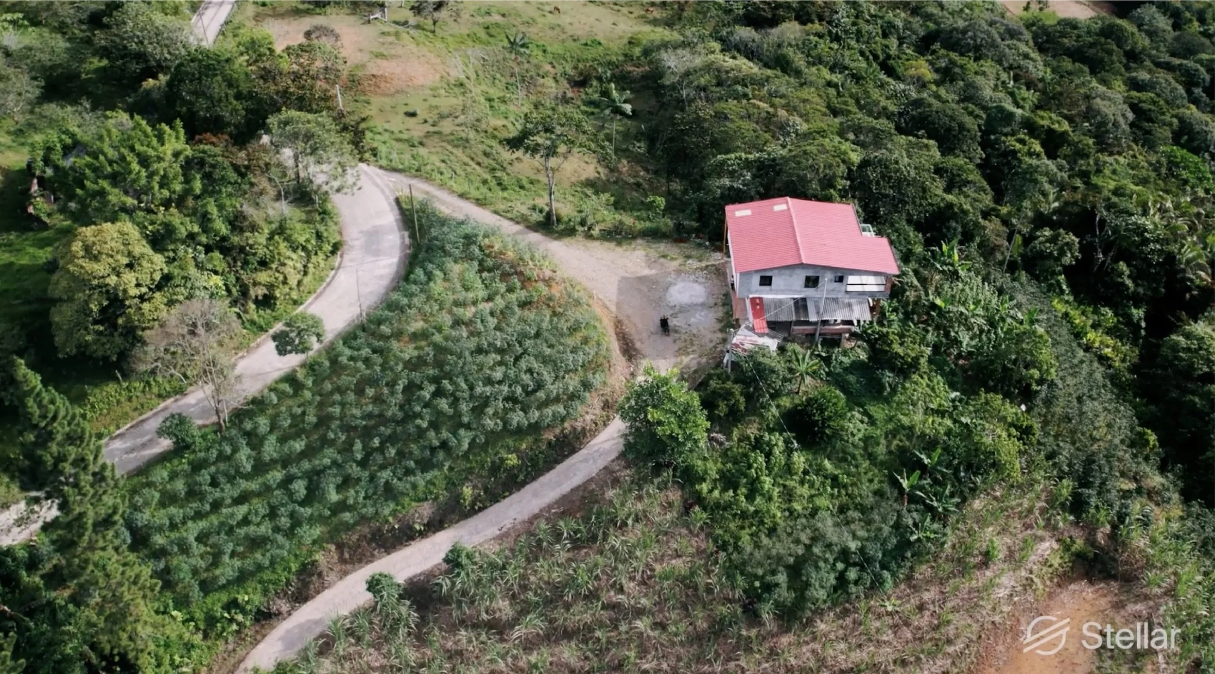A house with a red roof on a lush green hillside surrounded by trees and a winding dirt road.