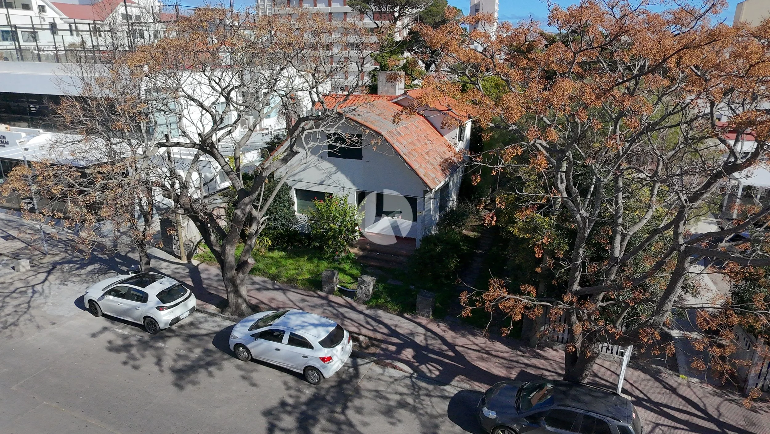 PTA8023 -watermarked.JPG