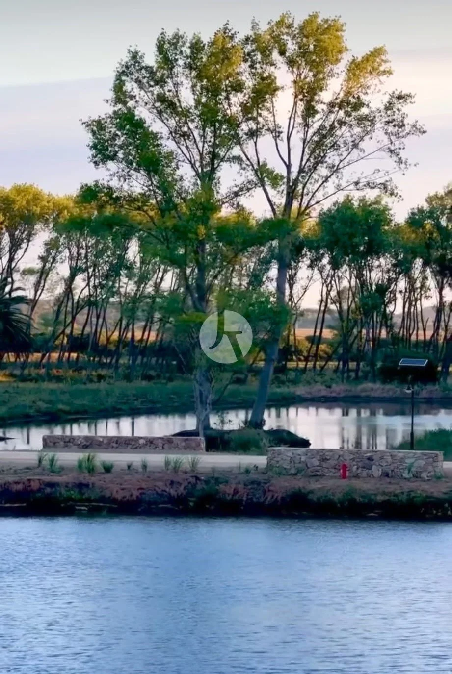 WhatsApp Image 2025-11-01 at 11.50.31(2)-watermarked.jpeg