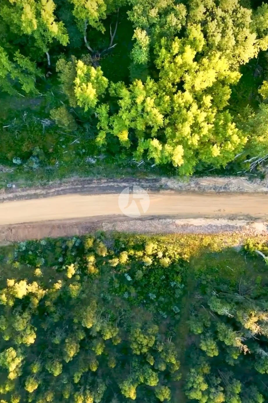 WhatsApp Image 2025-11-01 at 11.50.31(3)-watermarked.jpeg