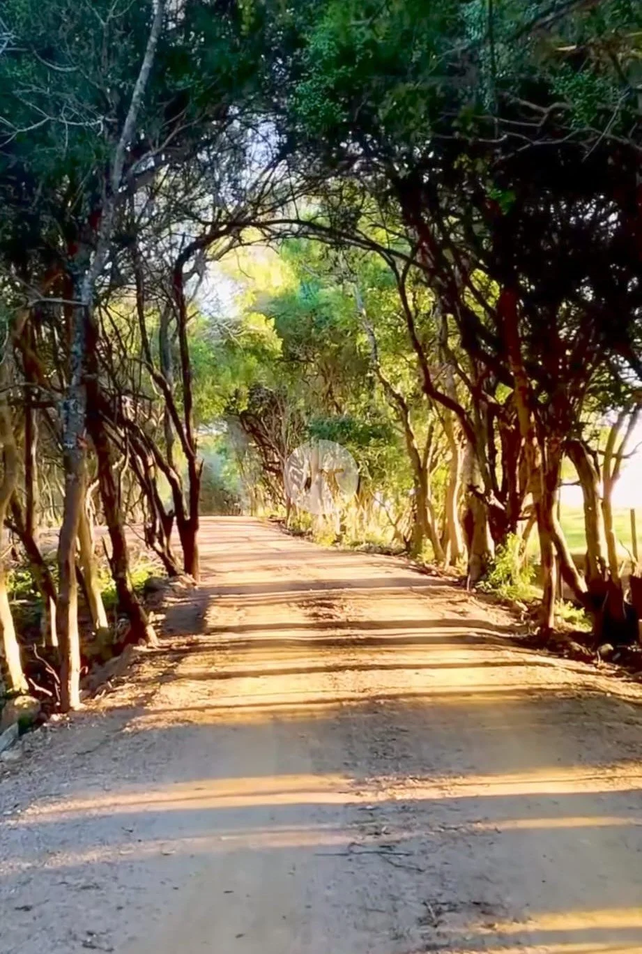 WhatsApp Image 2025-11-01 at 11.50.31(4)-watermarked.jpeg