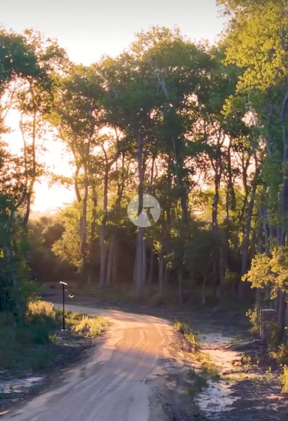 WhatsApp Image 2025-11-01 at 11.50.59(2)-watermarked.jpeg