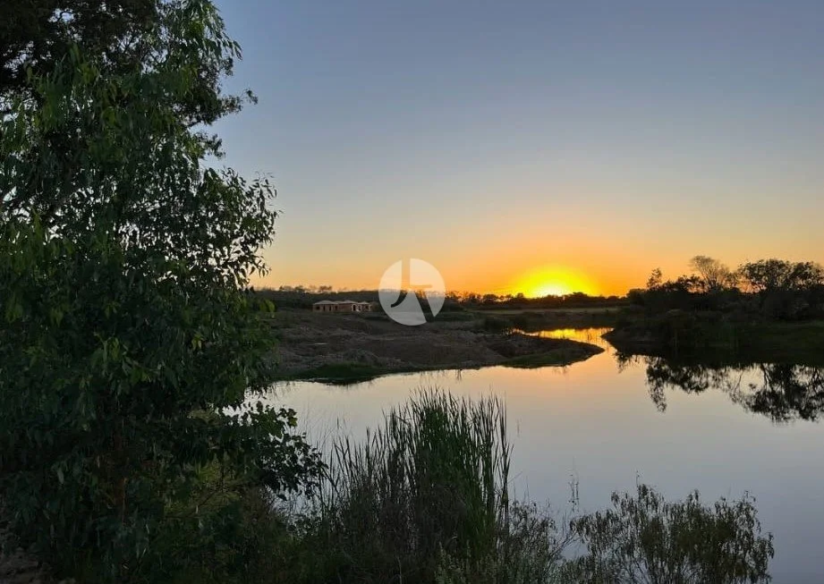 WhatsApp Image 2025-11-01 at 11.51.01(3)-watermarked.jpeg