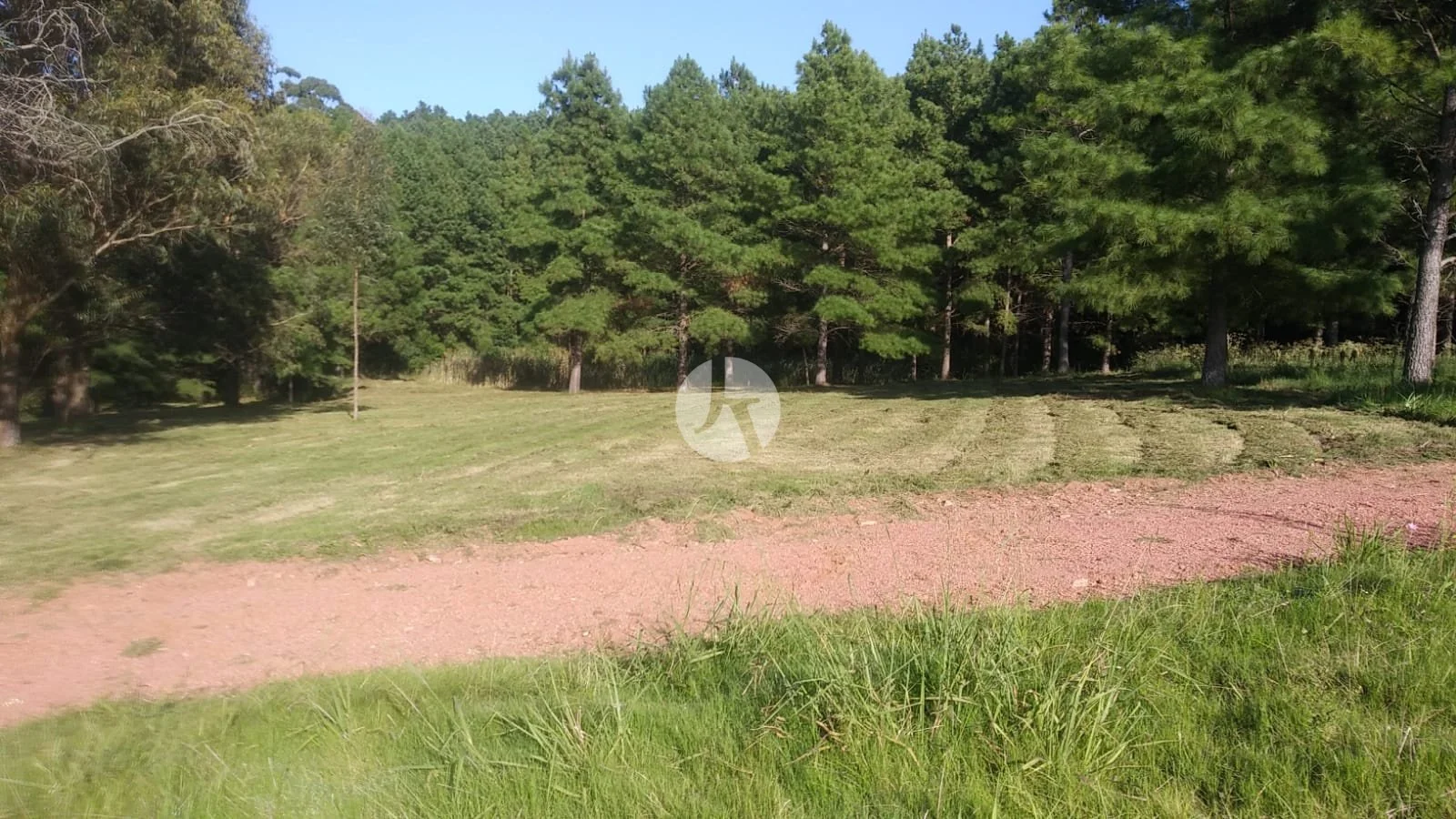 WhatsApp Image 2022-03-03 at 16.34.37-watermarked.jpeg