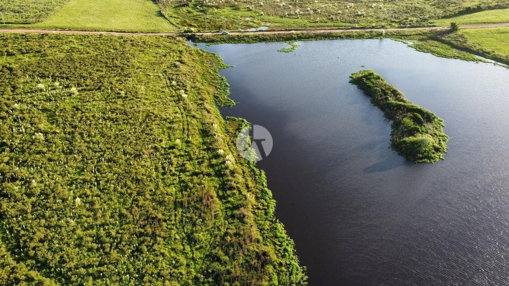 WhatsApp Image 2022-07-01 at 4.21.11 PM (2)-watermarked.jpeg