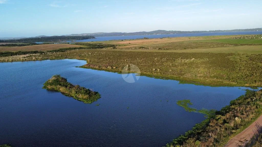 WhatsApp Image 2022-07-01 at 4.21.09 PM-watermarked.jpeg