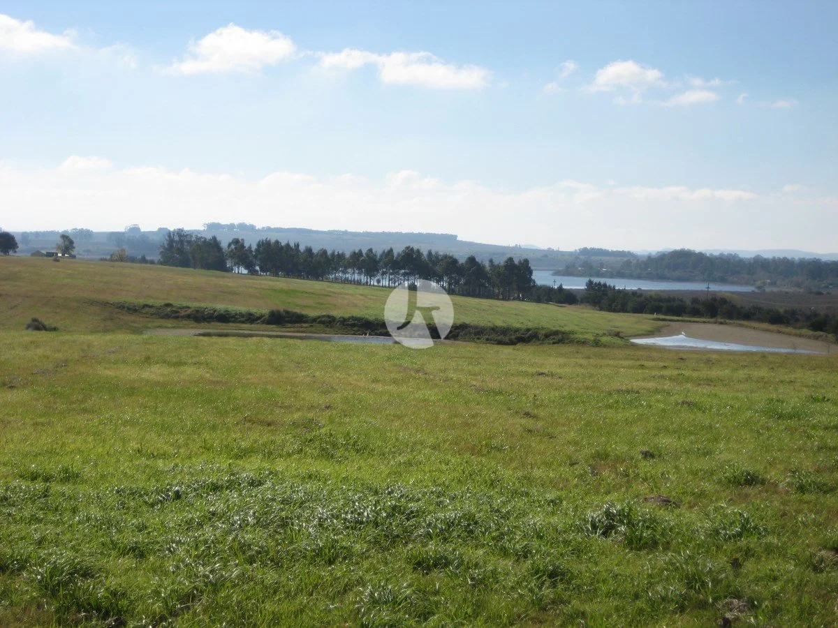 S2 cisnes 3 (Copiar)-watermarked.JPG