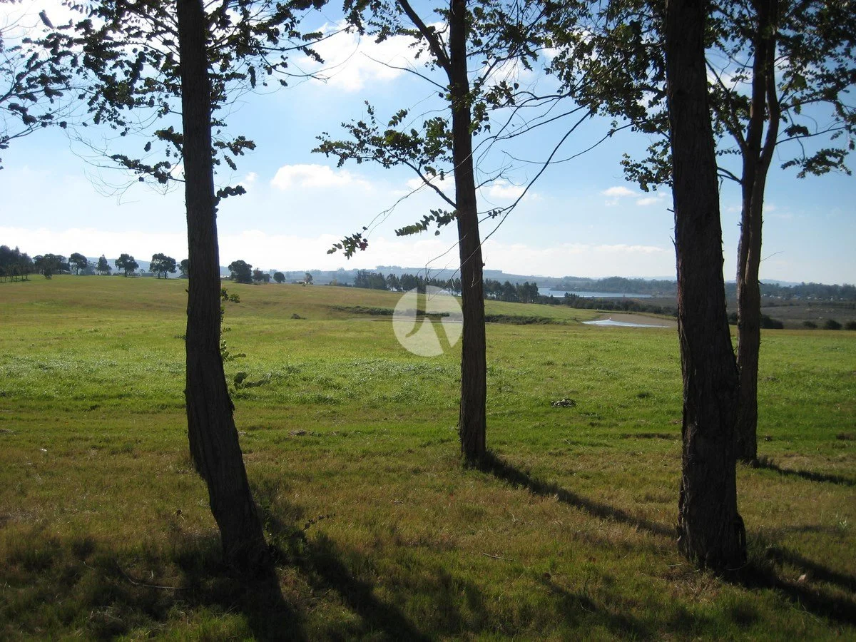 S2 Cisnes 2 (Copiar)-watermarked.JPG