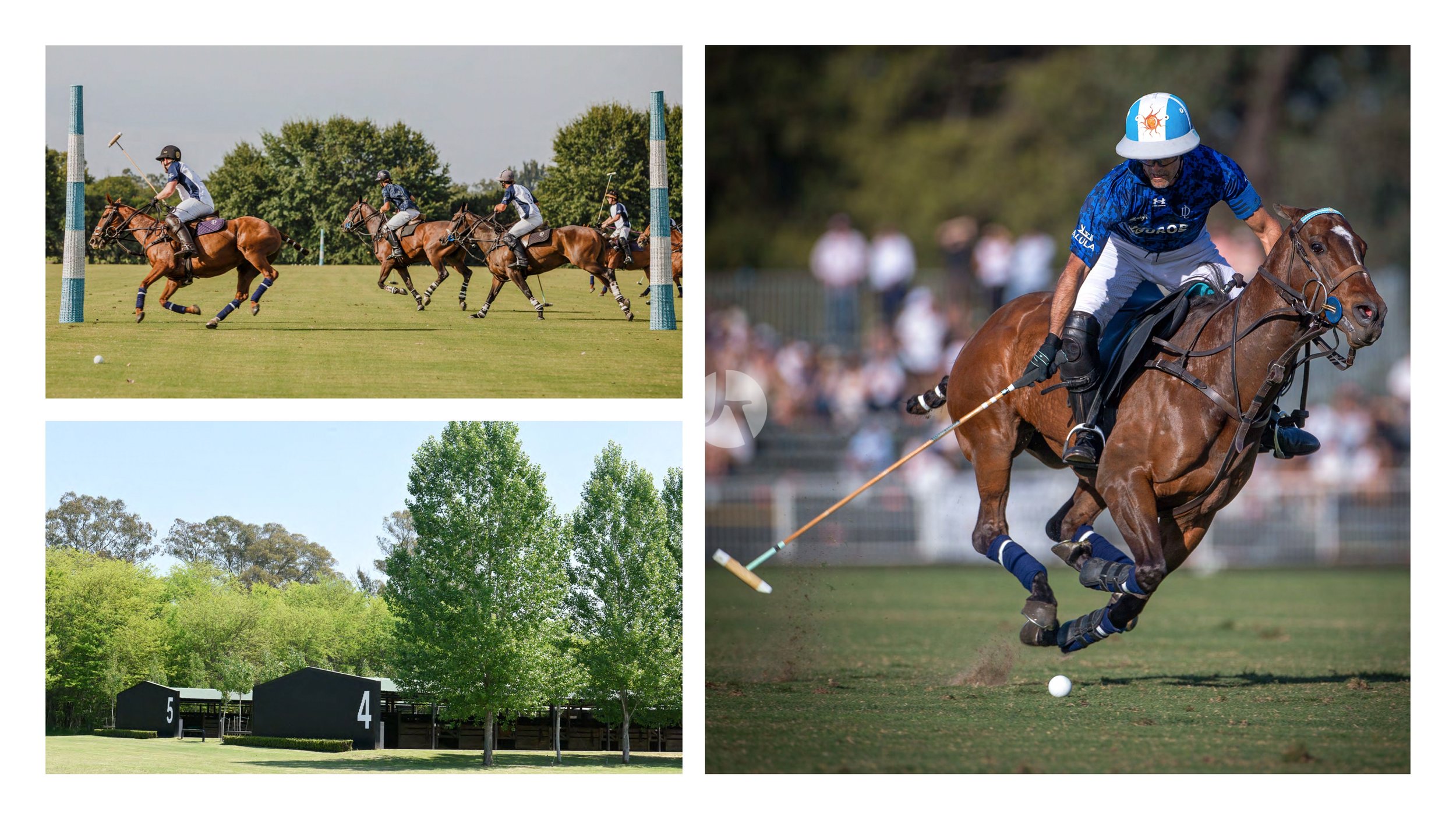 LDP_Lanzamiento_La-Dolfina_PDE_brochure (última versión)_page-0014-watermarked.jpg