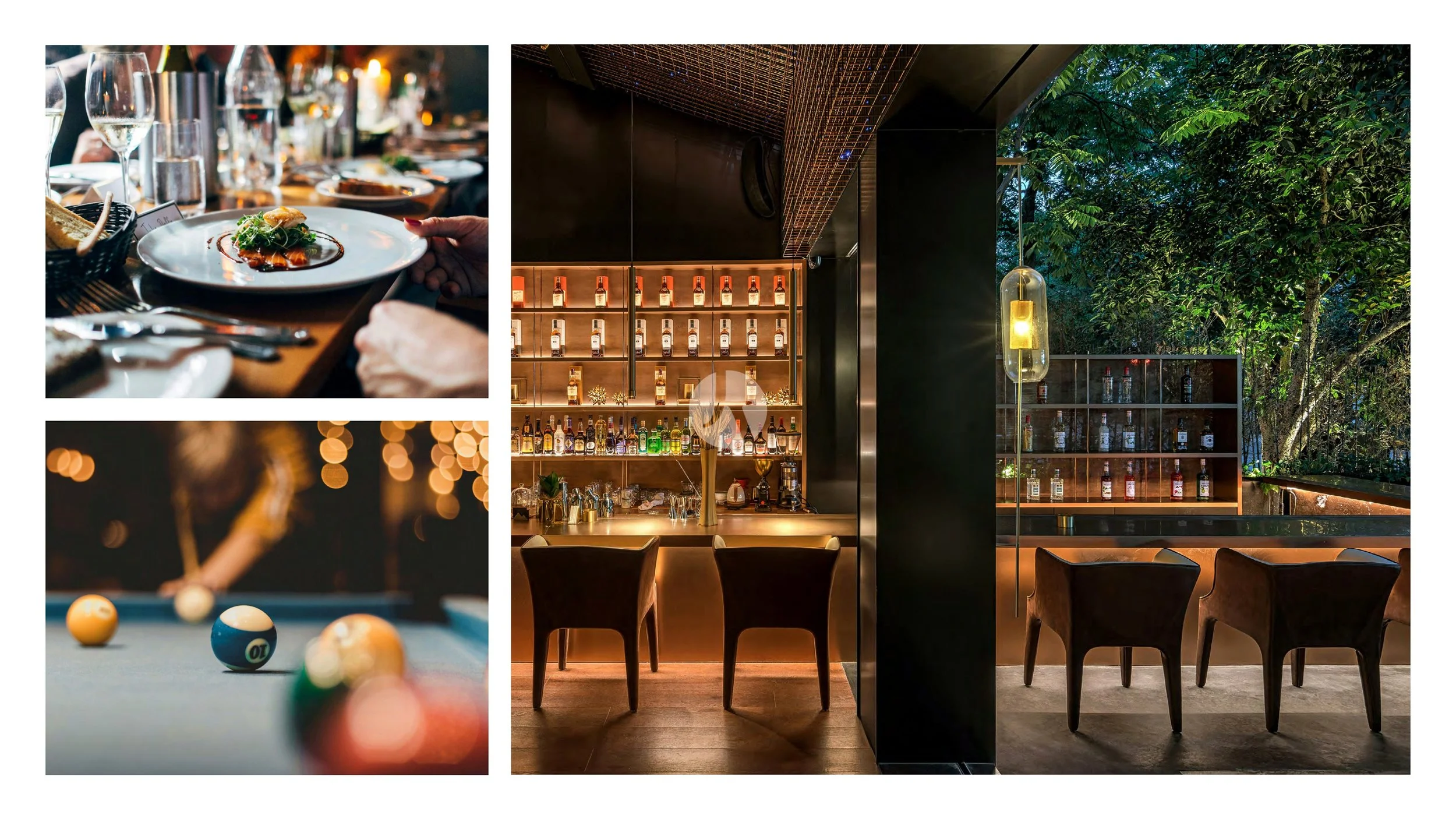 LDP_Lanzamiento_La-Dolfina_PDE_brochure (última versión)_page-0015-watermarked.jpg