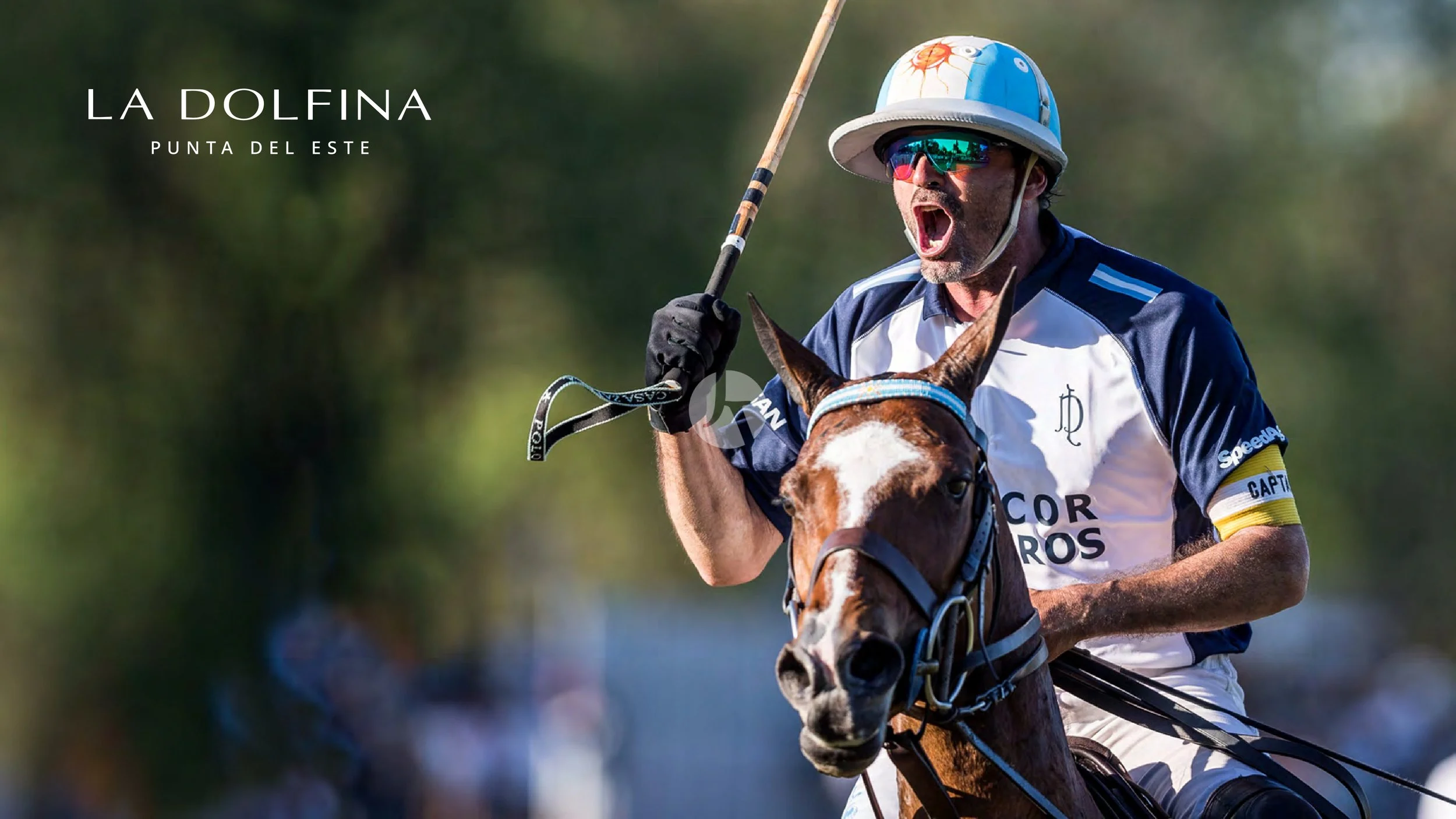 LDP_Lanzamiento_La-Dolfina_PDE_brochure (última versión)_page-0017-watermarked.jpg