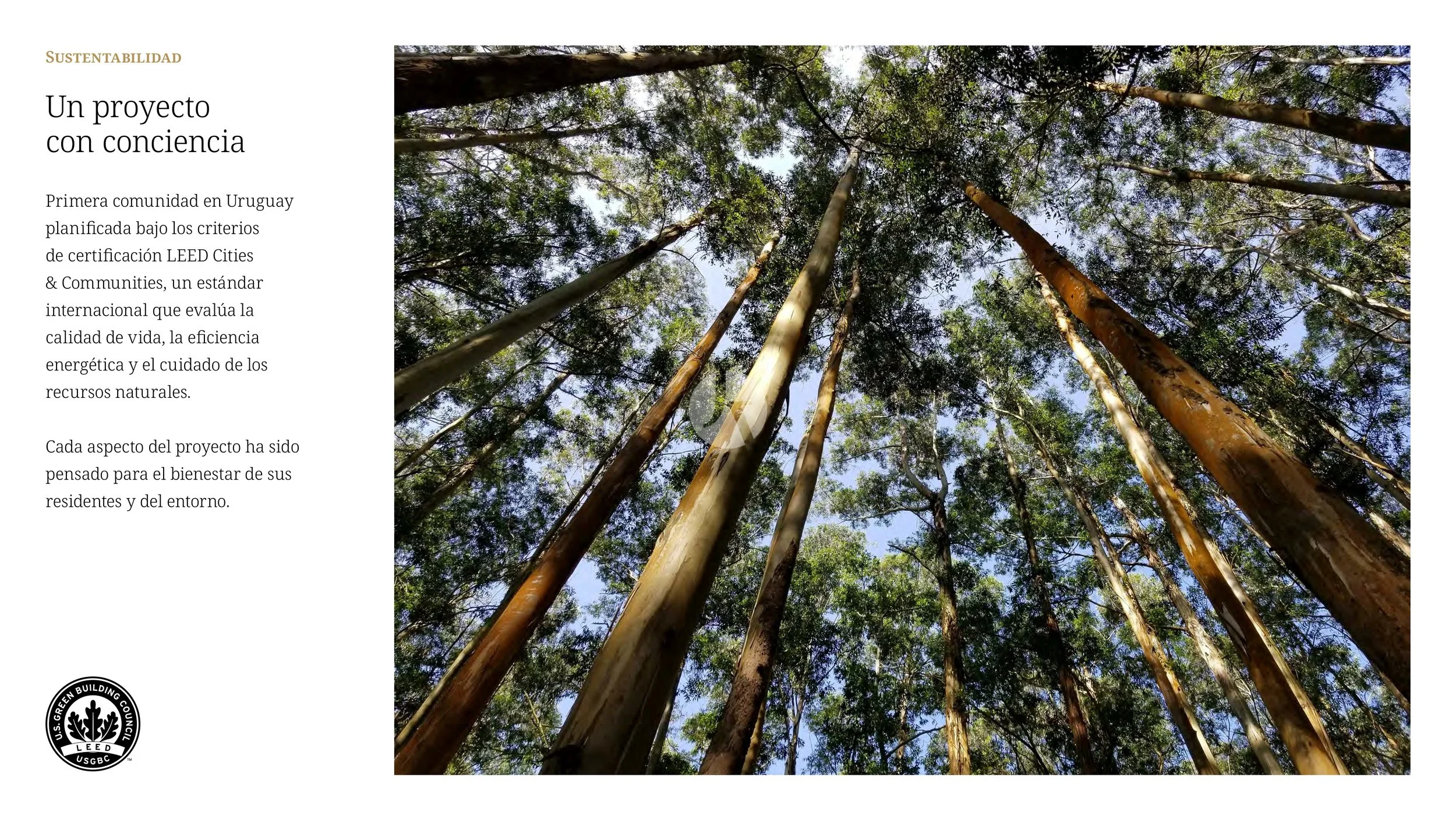 LDP_Lanzamiento_La-Dolfina_PDE_brochure (última versión)_page-0016-watermarked.jpg