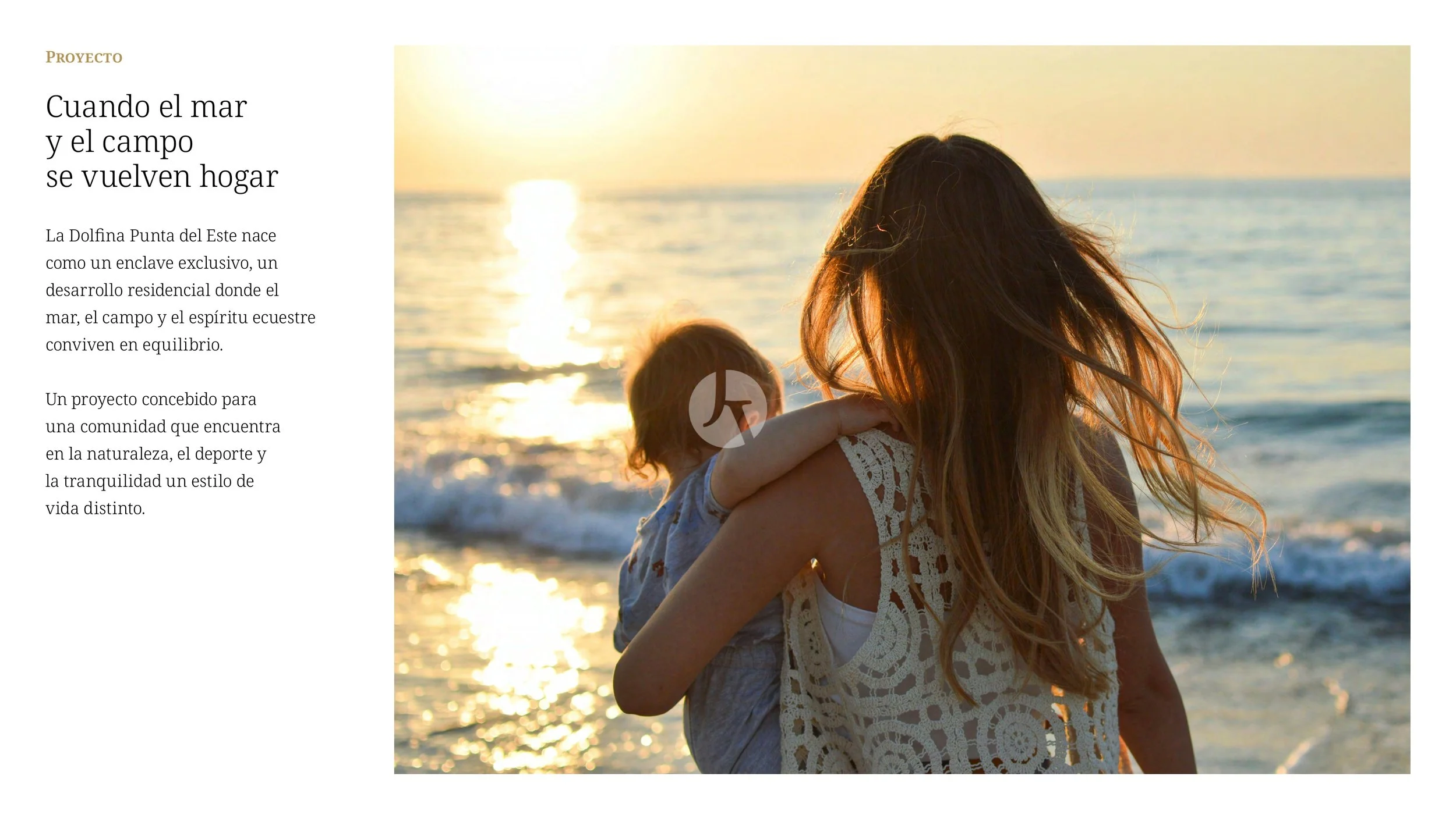 LDP_Lanzamiento_La-Dolfina_PDE_brochure (última versión)_page-0003-watermarked.jpg
