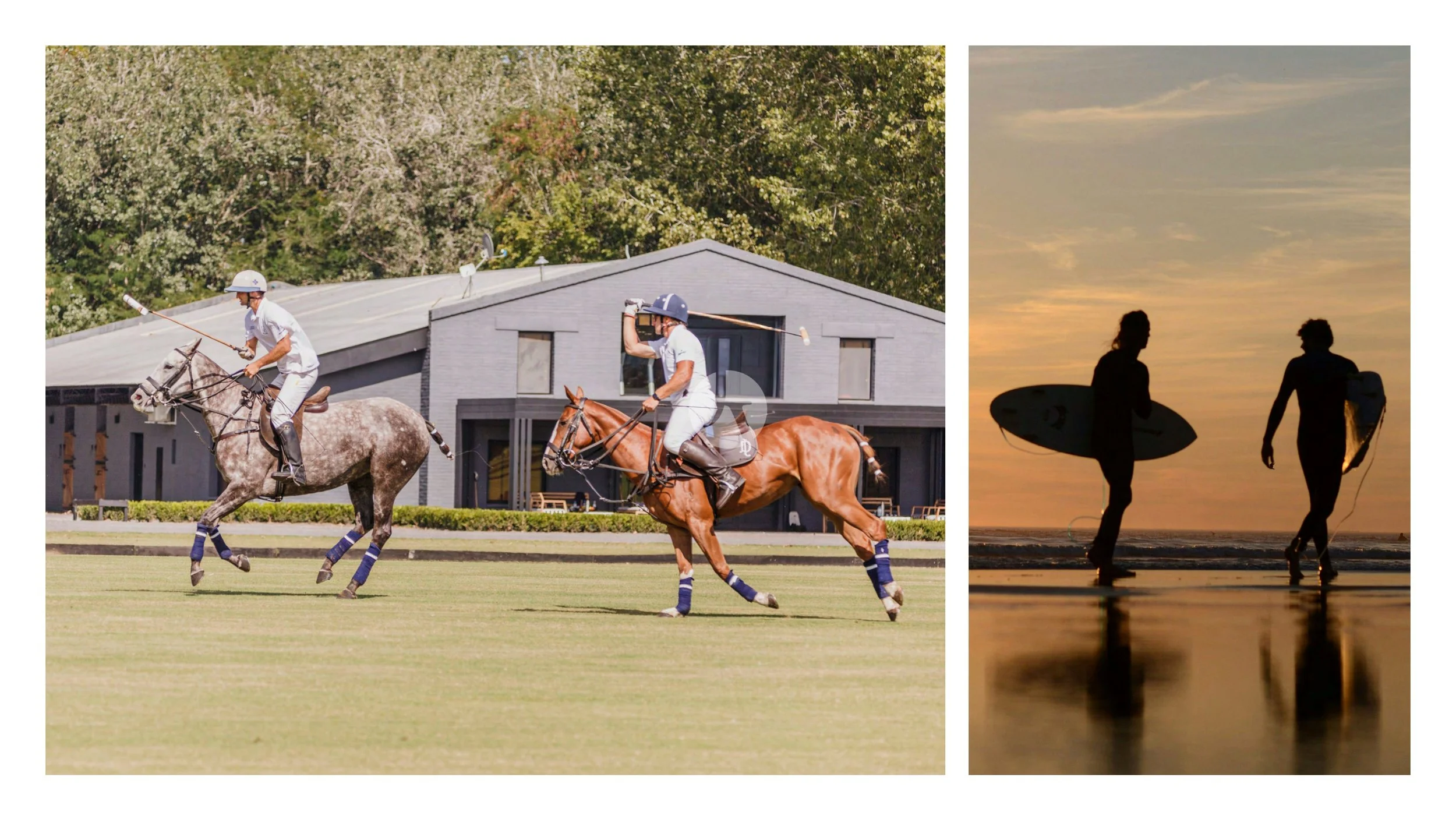 LDP_Lanzamiento_La-Dolfina_PDE_brochure (última versión)_page-0004-watermarked.jpg