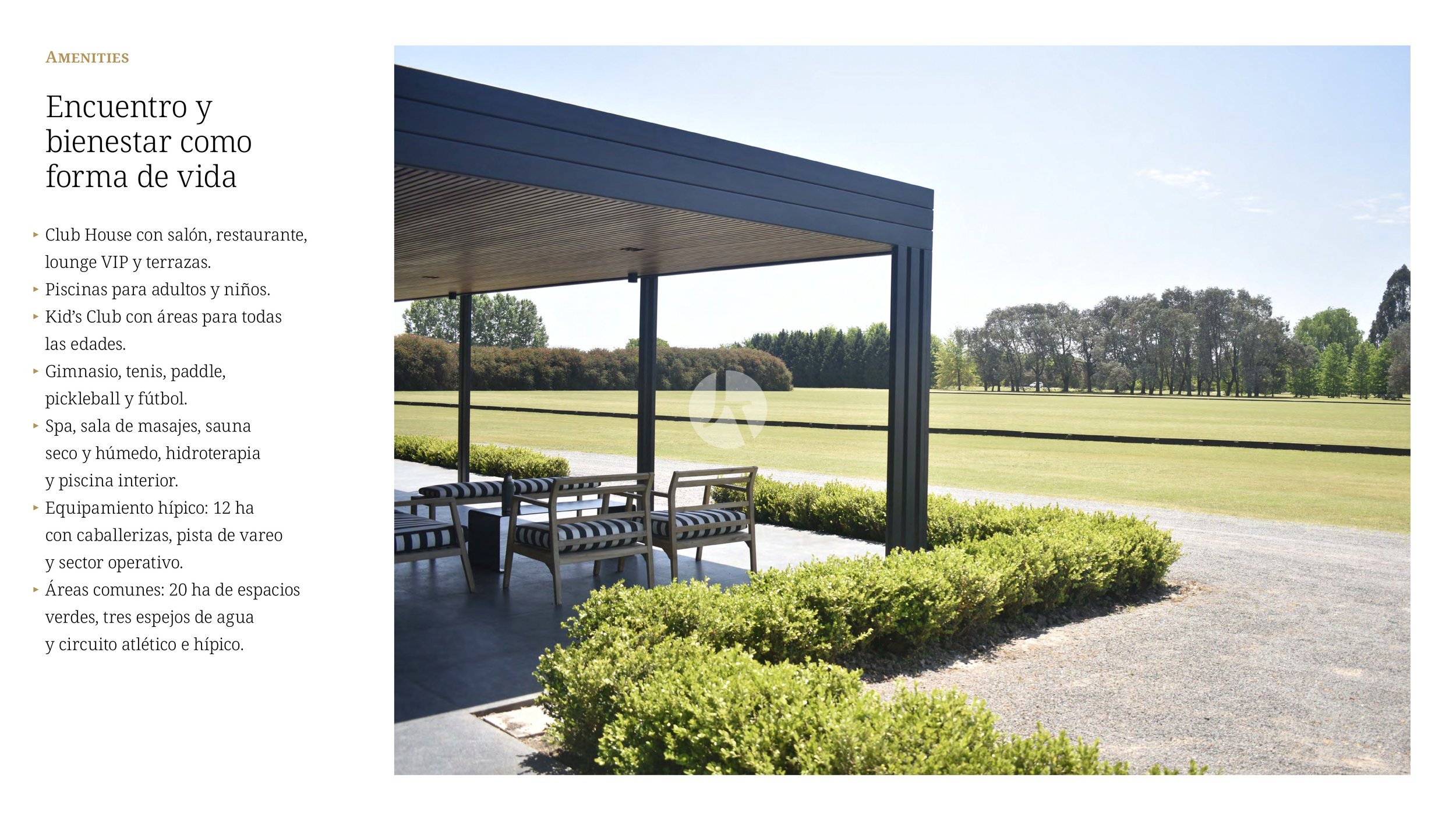 LDP_Lanzamiento_La-Dolfina_PDE_brochure (última versión)_page-0008-watermarked.jpg