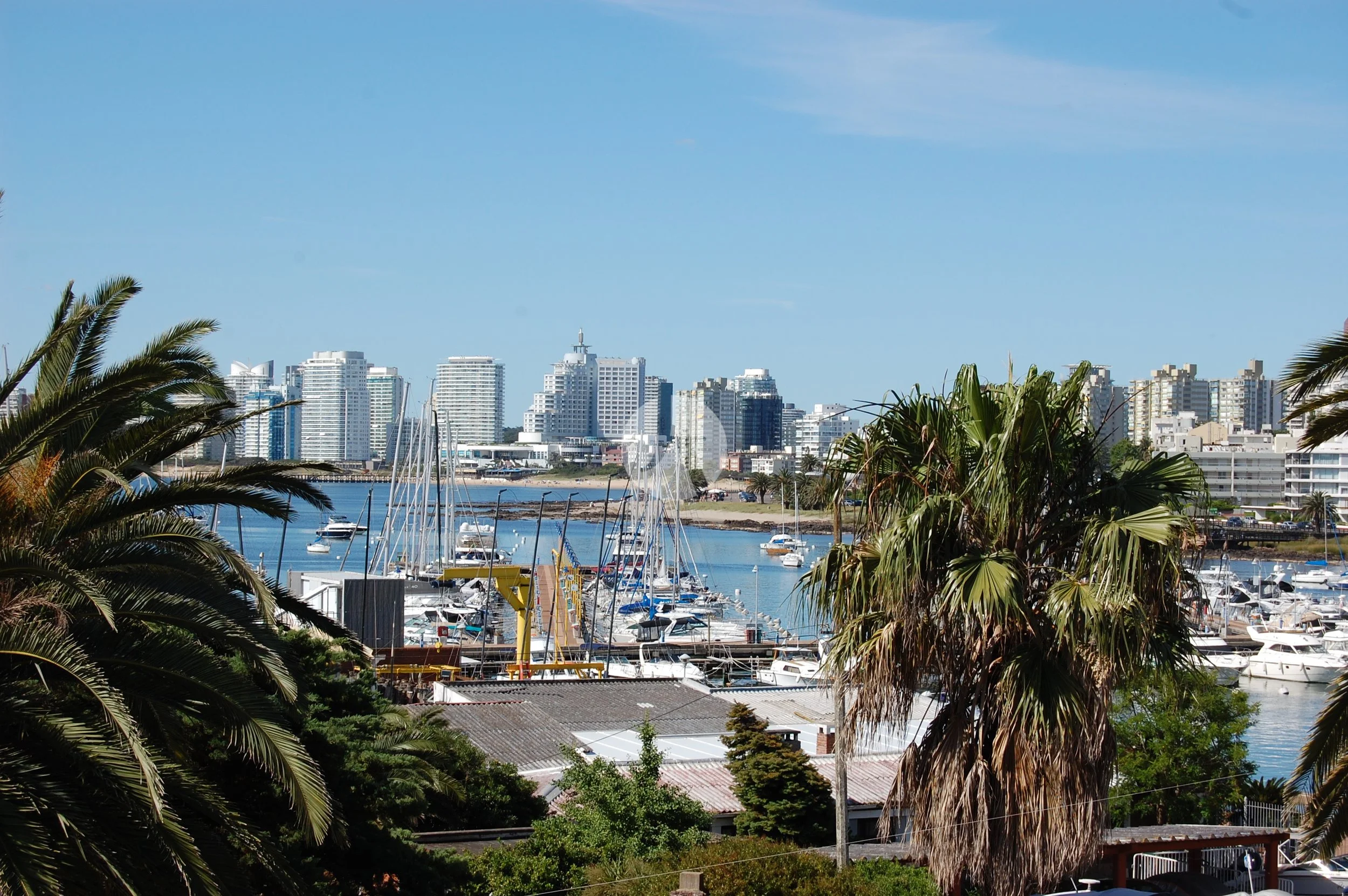 DSC_0008 (2)-watermarked.JPG