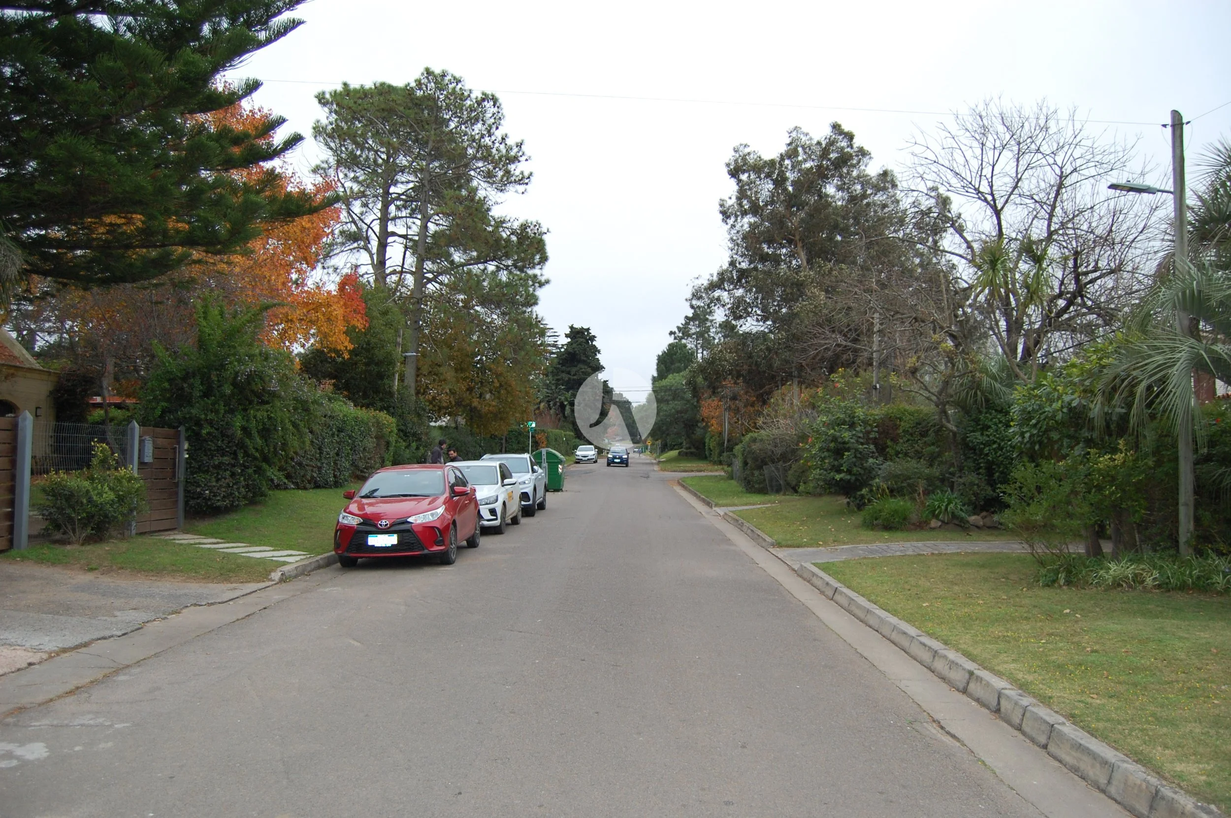 DSC_0018-watermarked.JPG