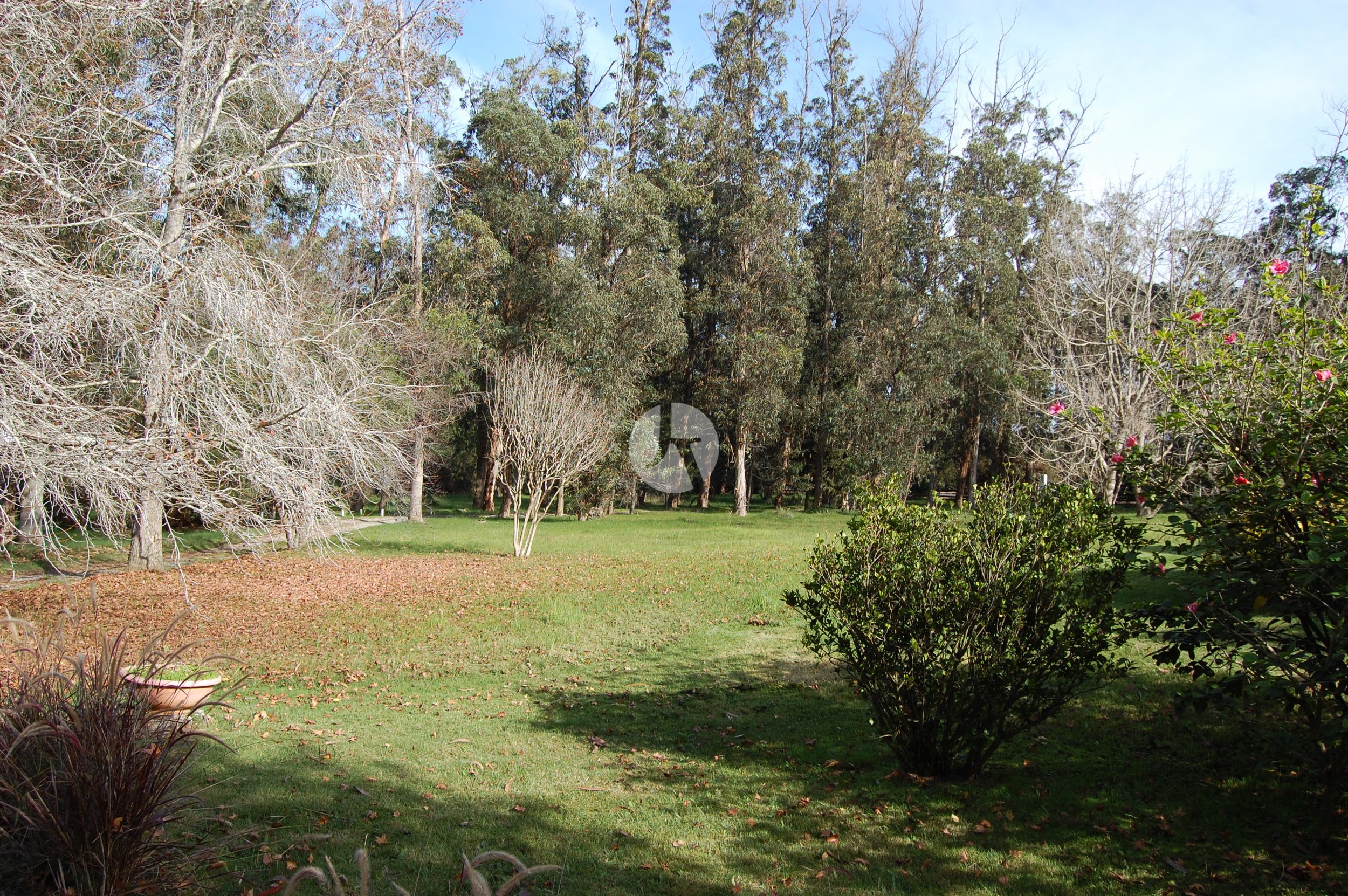 DSC_0060-watermarked.JPG