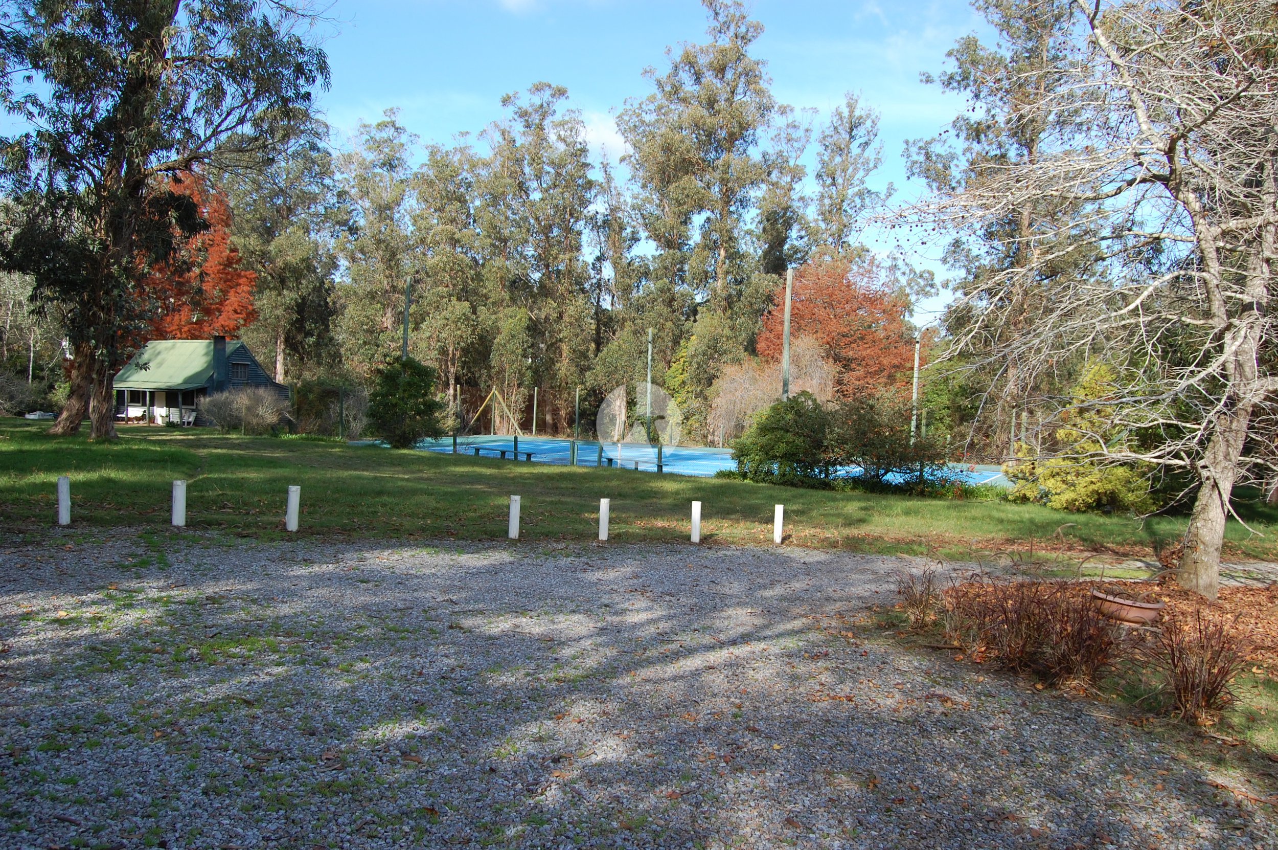 DSC_0061-watermarked.JPG