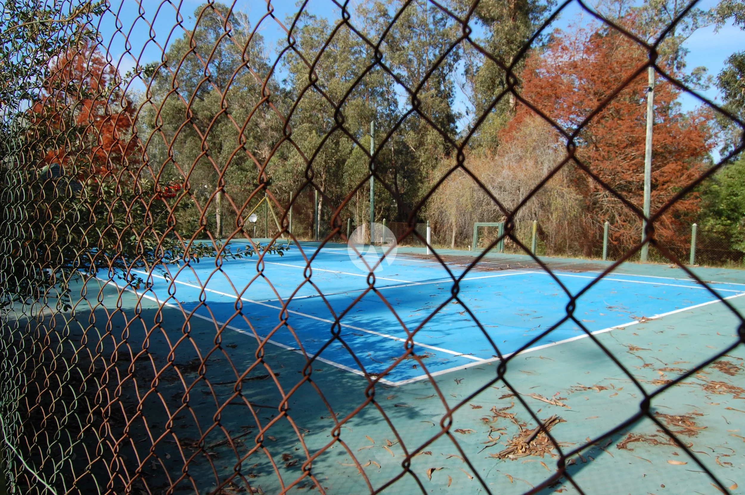 DSC_0064-watermarked.JPG