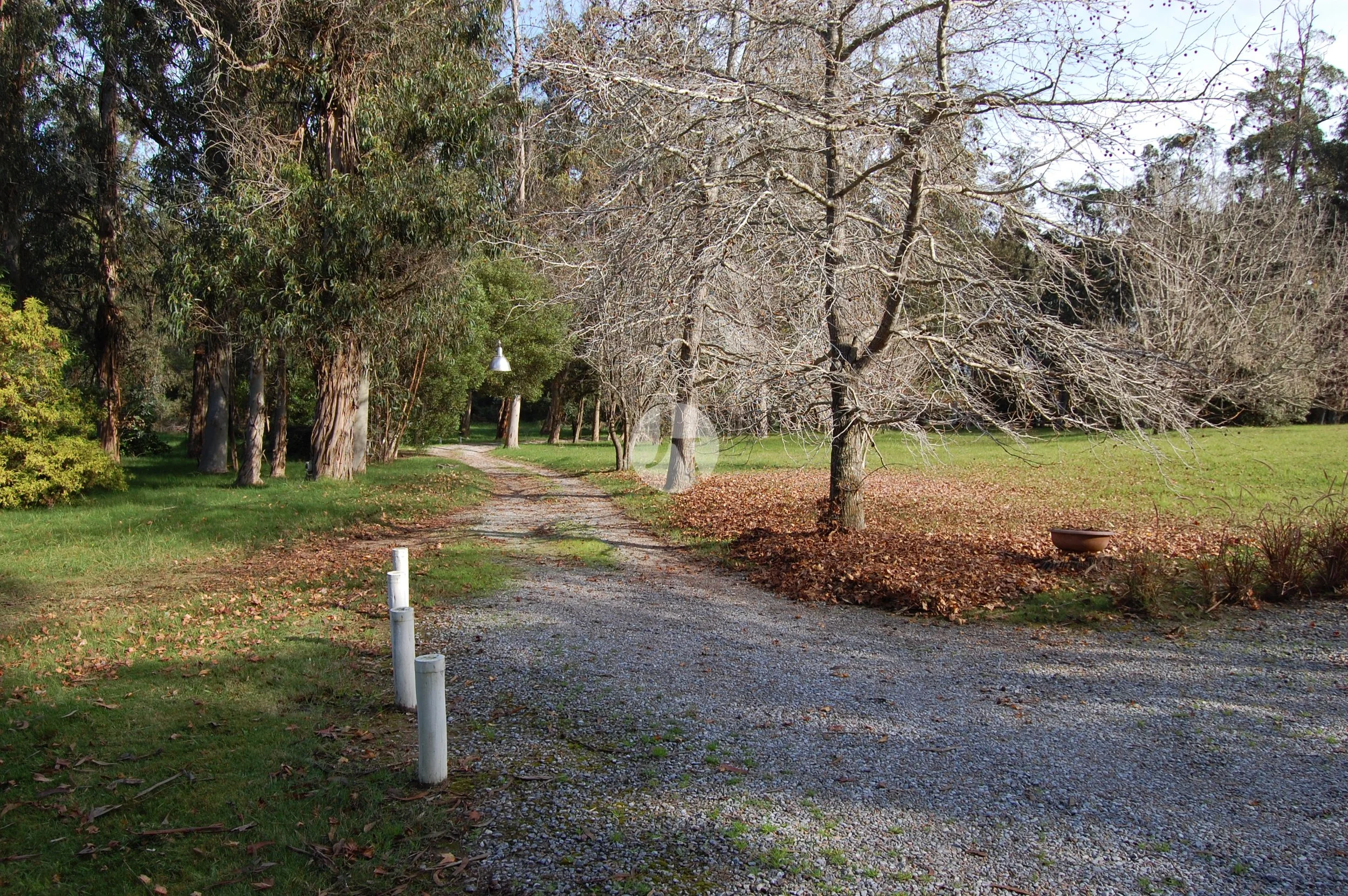 DSC_0069-watermarked.JPG