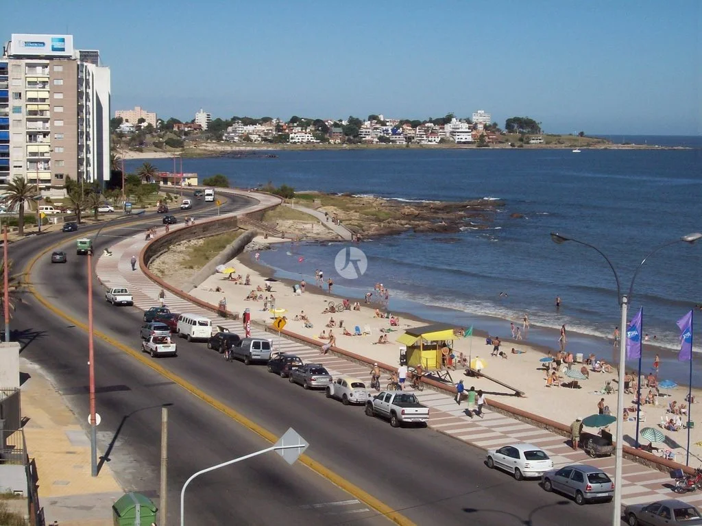 brava-1024x767-watermarked.jpg