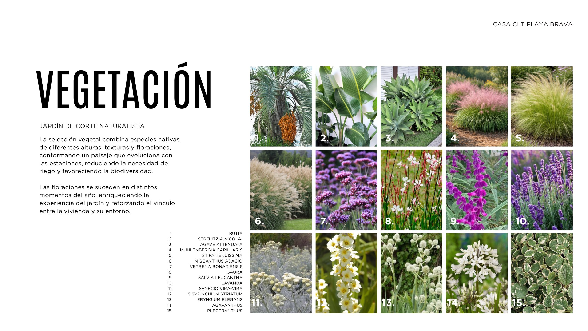 Brochure Playa Brava DOVAT_page-0017.jpg