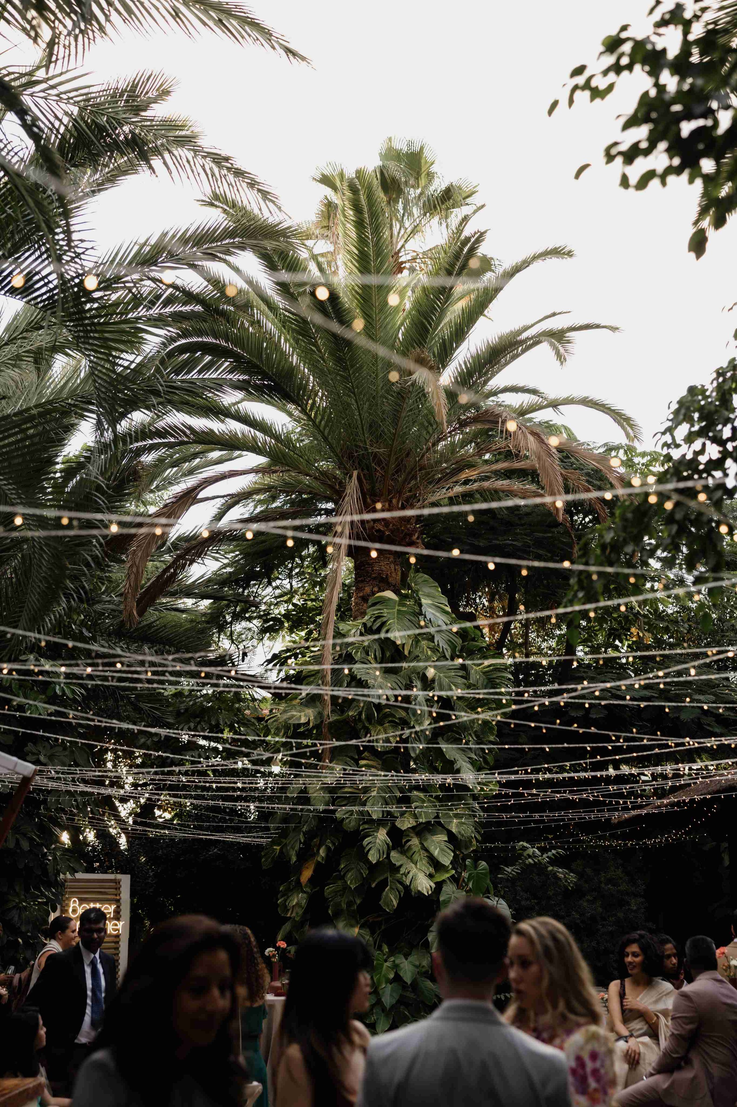 H&P- Wedding in Tenerife - Licandro Weddings - Tenerife Wedding Planner - Finca Wedding - Tenerife Wedding Photographer - Weddings in Tenerife - Bespoke Wedding in Tenerife-540.jpg