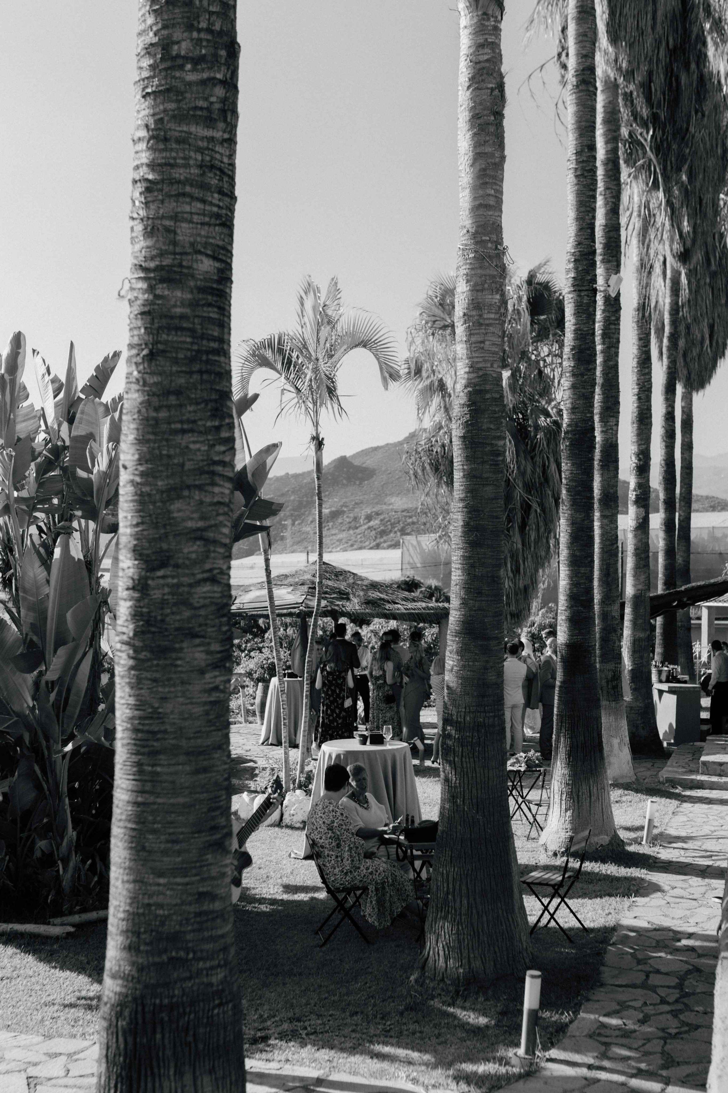 C&J - Licandro Weddings - Tenerife Wedding Planner - Finca Wedding - Tenerife Wedding Photographer - Weddings in Tenerife - Bespoke Wedding in Tenerife-568.jpg