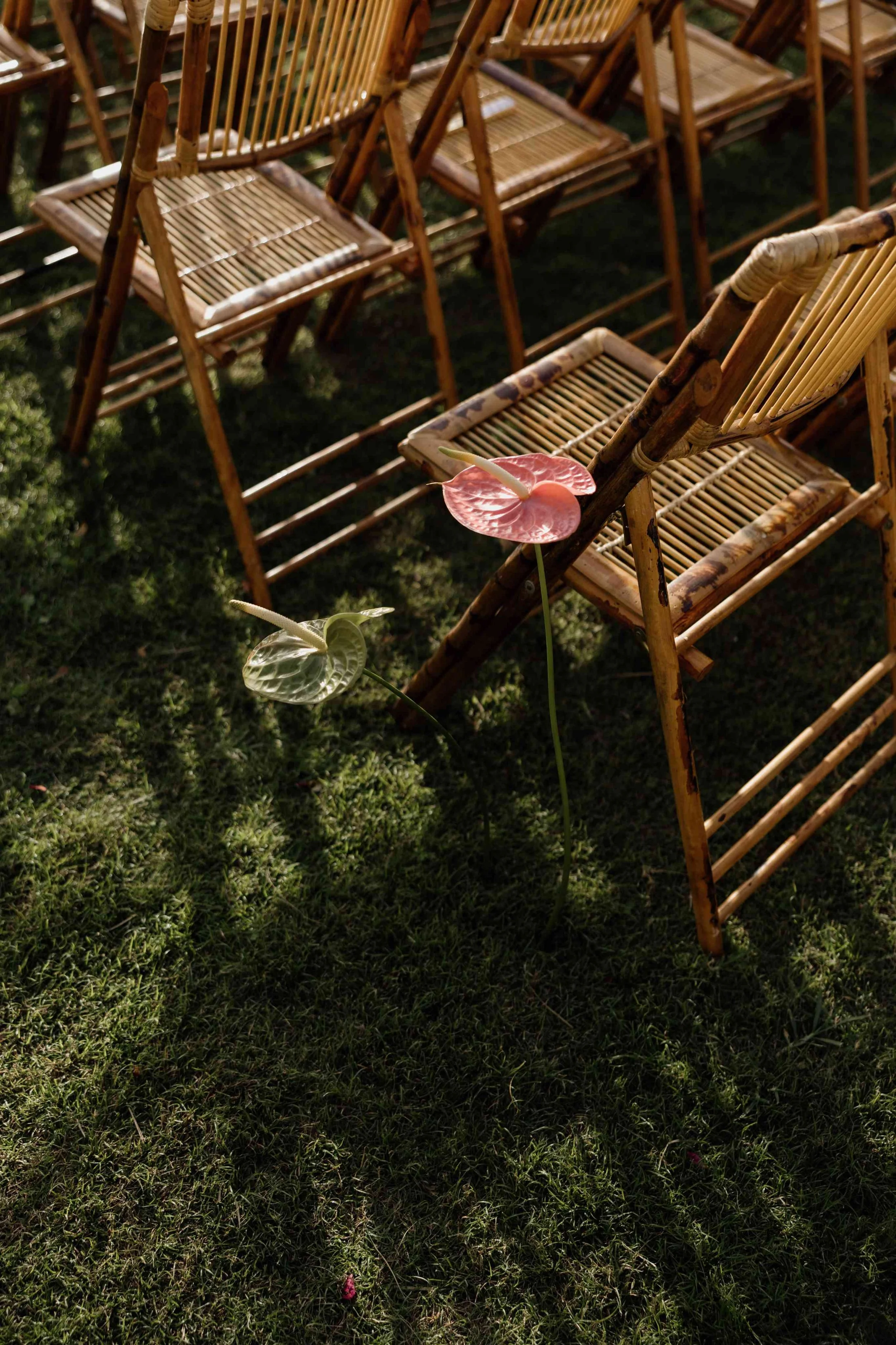 G&K- Wedding in Tenerife - Licandro Weddings - Tenerife Wedding Planner - Finca Wedding - Tenerife Wedding Photographer - Weddings in Tenerife - Bespoke Wedding in Tenerife-165.jpg