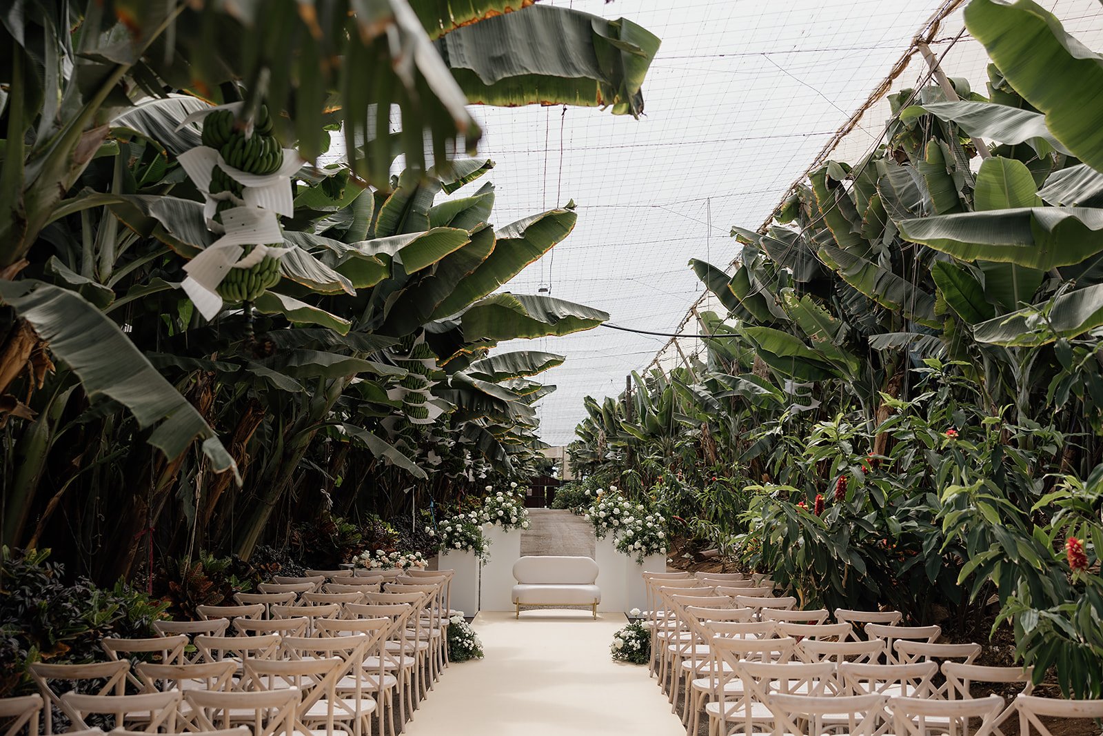 C&A - Wedding in Tenerife - Licandro Weddings - Tenerife Wedding Planner - Finca Wedding - Tenerife Wedding Photographer - Weddings in Tenerife - Bespoke Wedding in Tenerife-166_websize.jpg