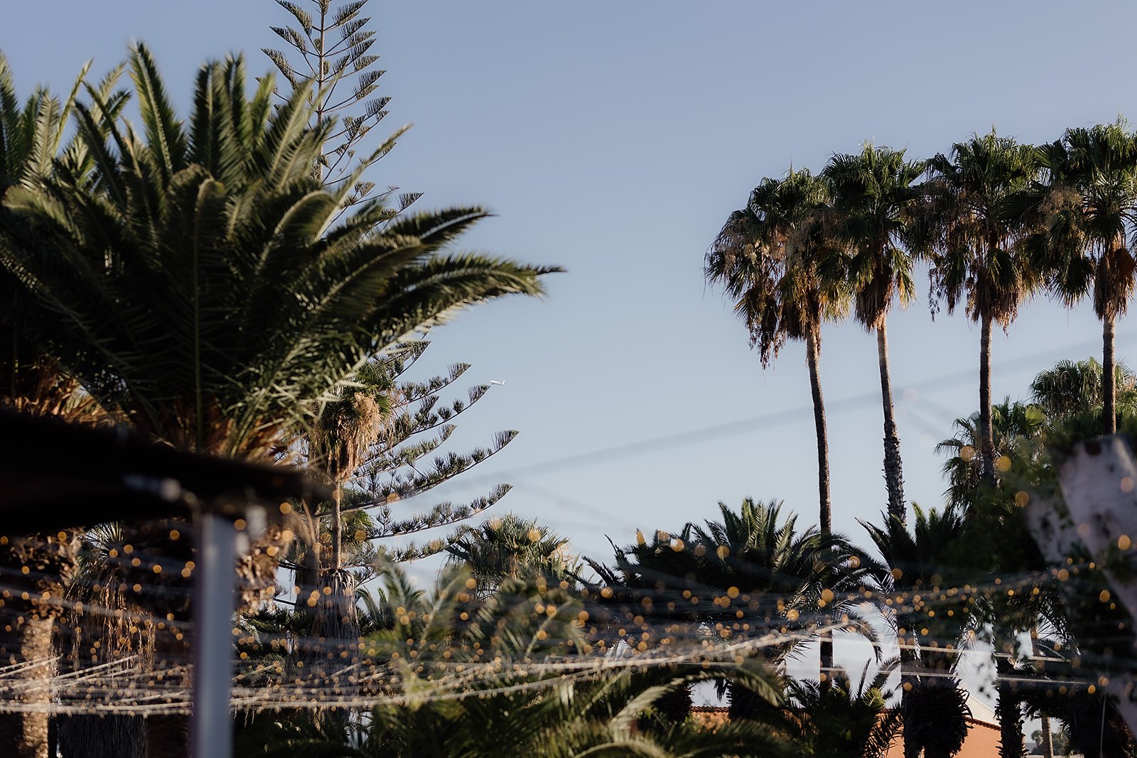 S&M - Licandro Weddings - Tenerife Wedding Planner - Finca Wedding - Tenerife Wedding Photographer - Weddings in Tenerife - Bespoke Wedding in Tenerife-512_websize.jpg