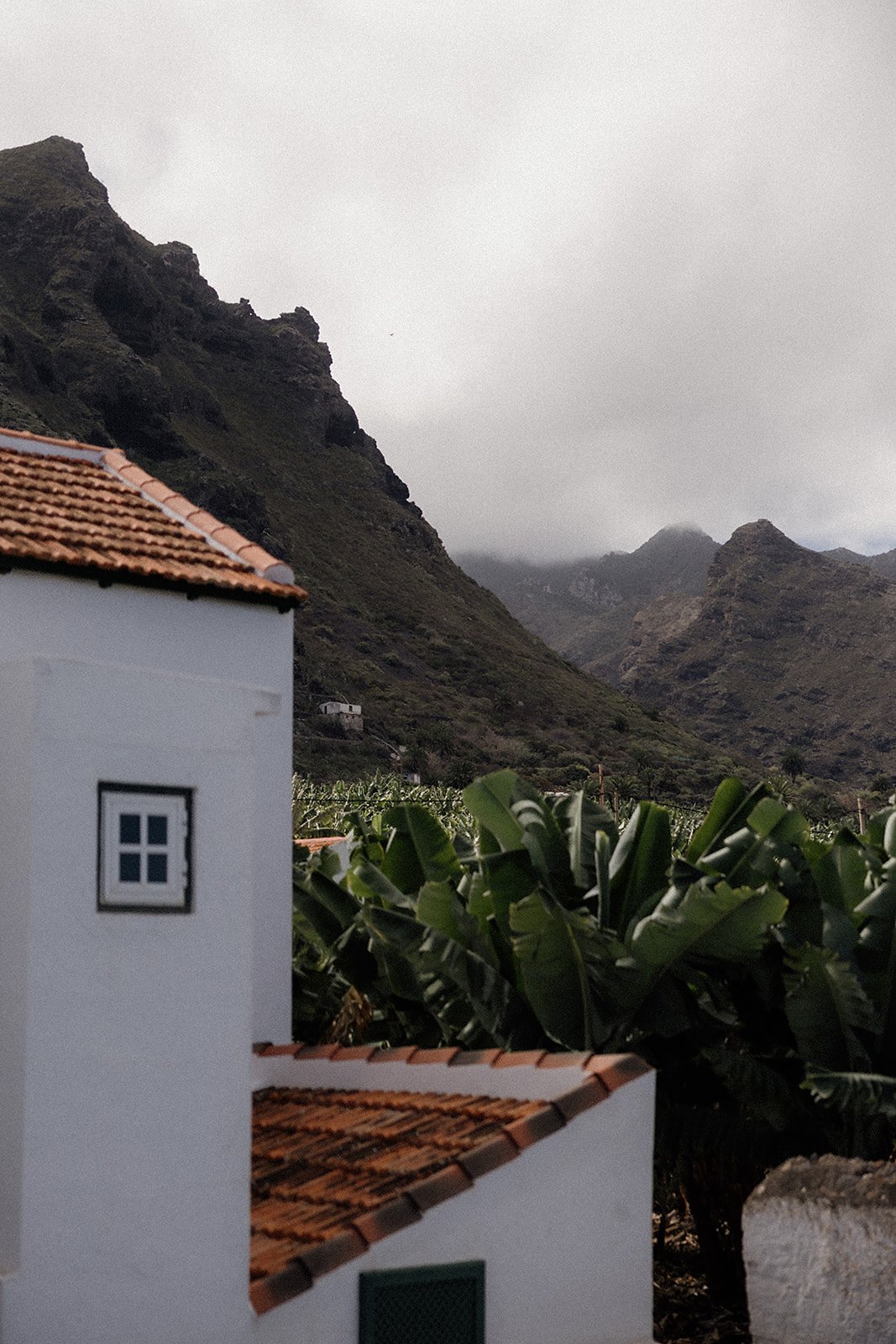 P&C Wedding Photos - Tenerife - Licandro Weddings - Tenerife Wedding Planners - Wedding in Tenerife - Finca Wedding Tenerife - Private Venue Tenerife-29_websize.jpg