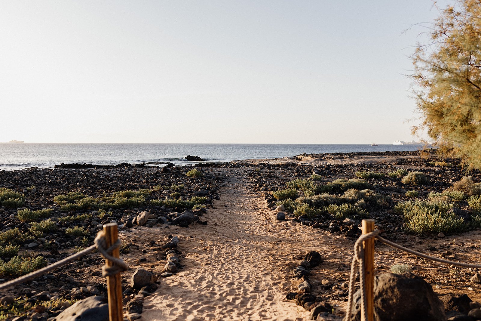 H&K WD- Licandro Weddings - Tenerife Wedding Planner - Finca Wedding - Tenerife Wedding Photographer - Weddings in Tenerife - Bespoke Wedding in Tenerife-211_websize.jpg