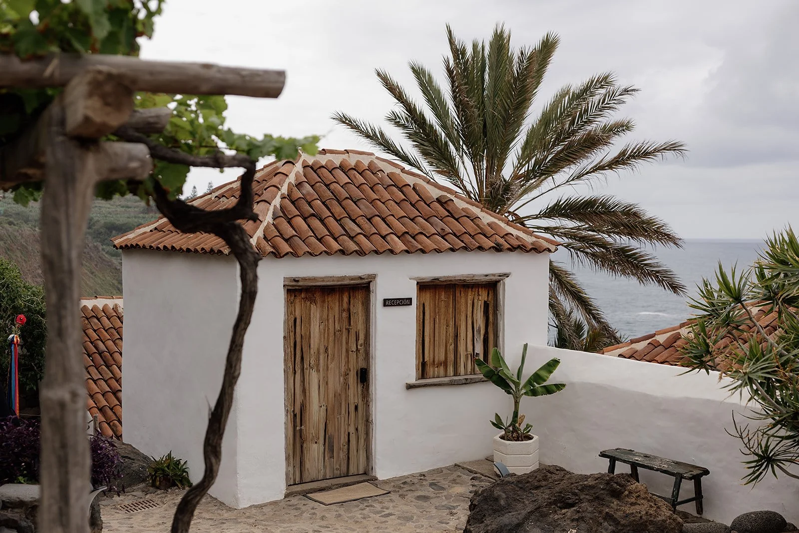 B&M Sample- Wedding in Tenerife - Licandro Weddings - Tenerife Wedding Planner - Finca Wedding - Tenerife Wedding Photographer - Weddings in Tenerife - Bespoke Wedding in Tenerife-74_websize.jpg