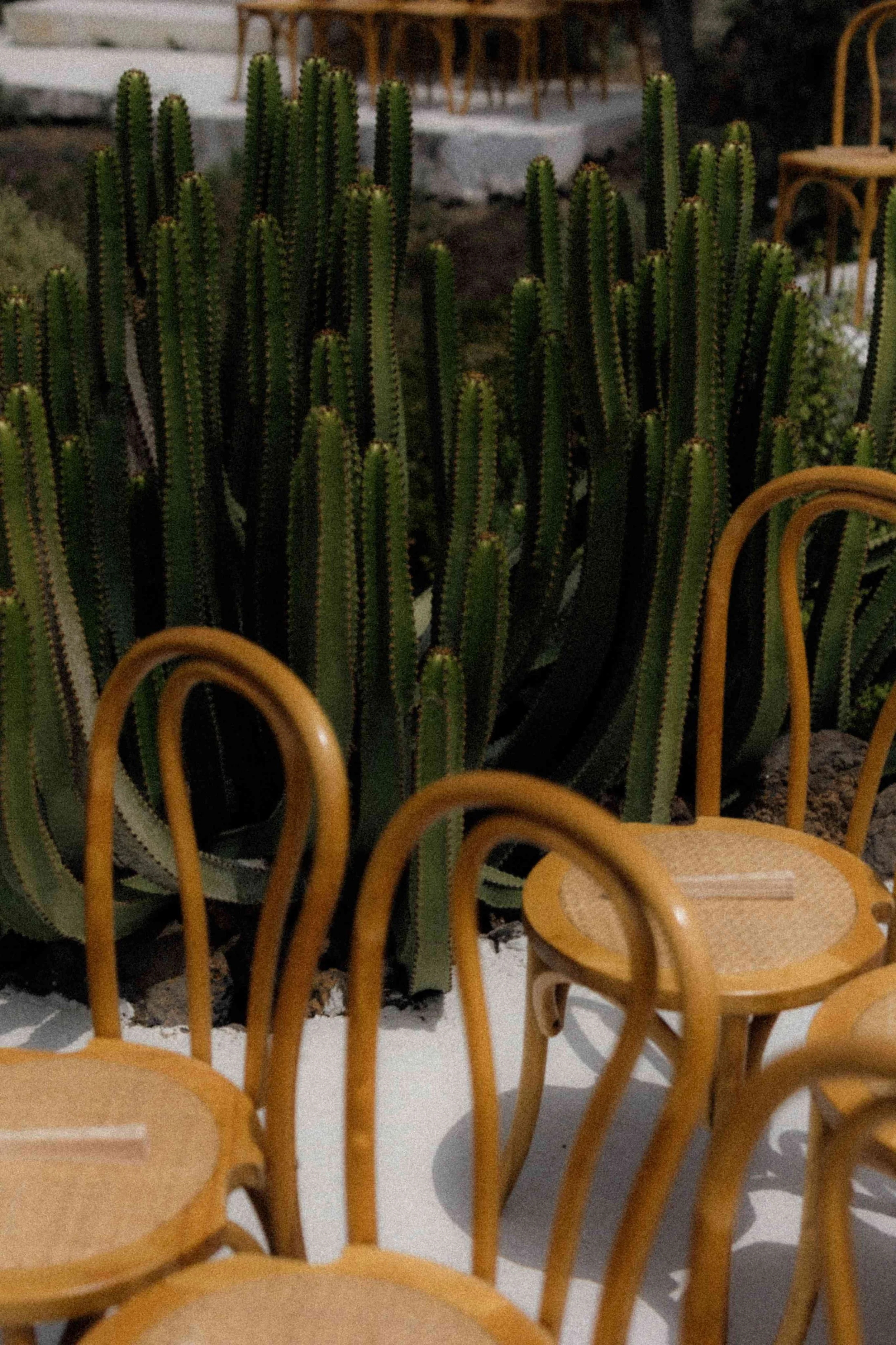 J&K - Licandro Weddings - Organizadores de bodas en Tenerife - Bodas en Tenerife - Bodas en fincas en Tenerife - Espacios privados en Tenerife-130.jpg