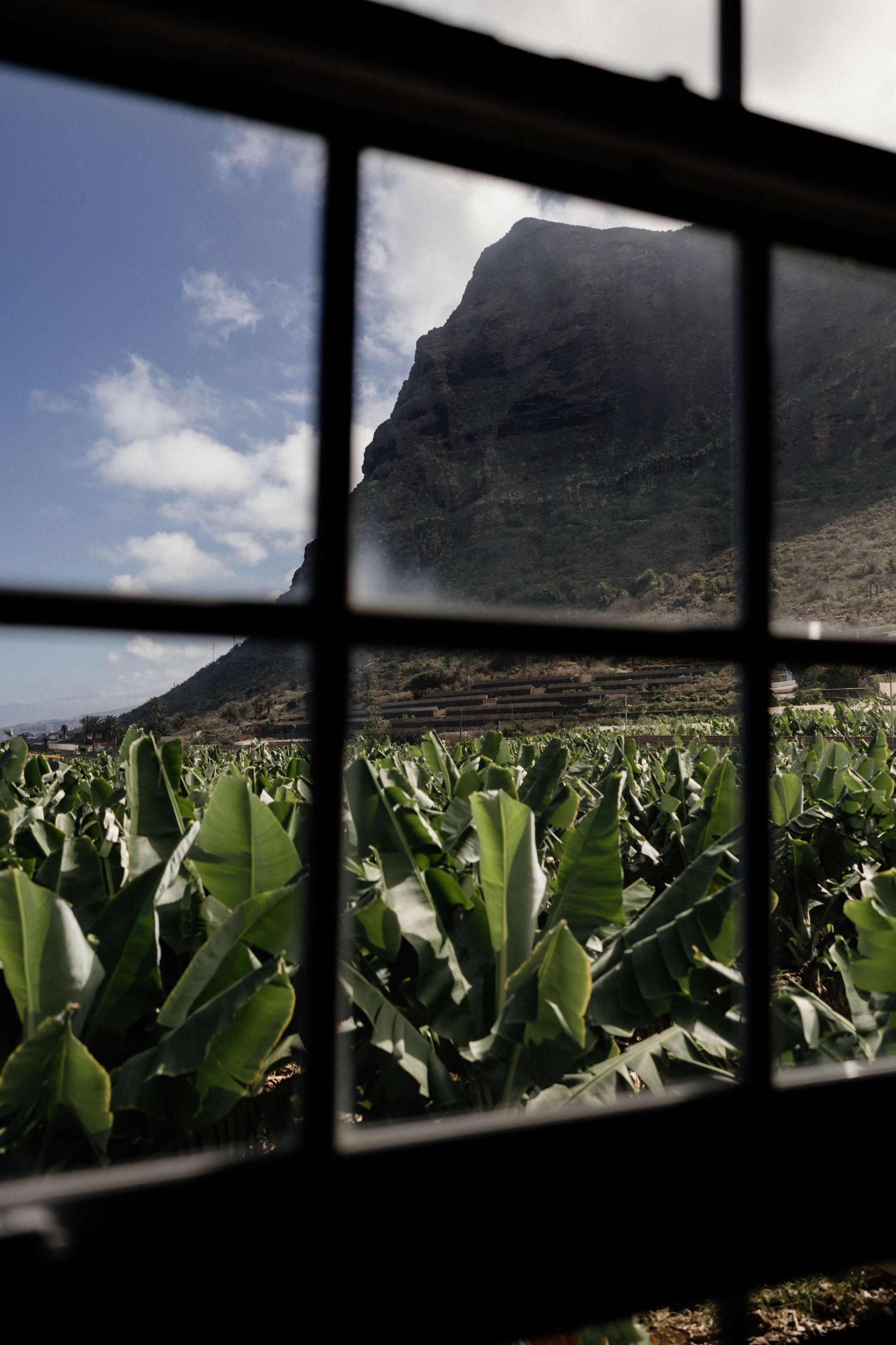 P&C Sample- Licandro Weddings - Tenerife Wedding Planners - Wedding in Tenerife - Finca Wedding Tenerife - Private Venue Tenerife-5.jpg