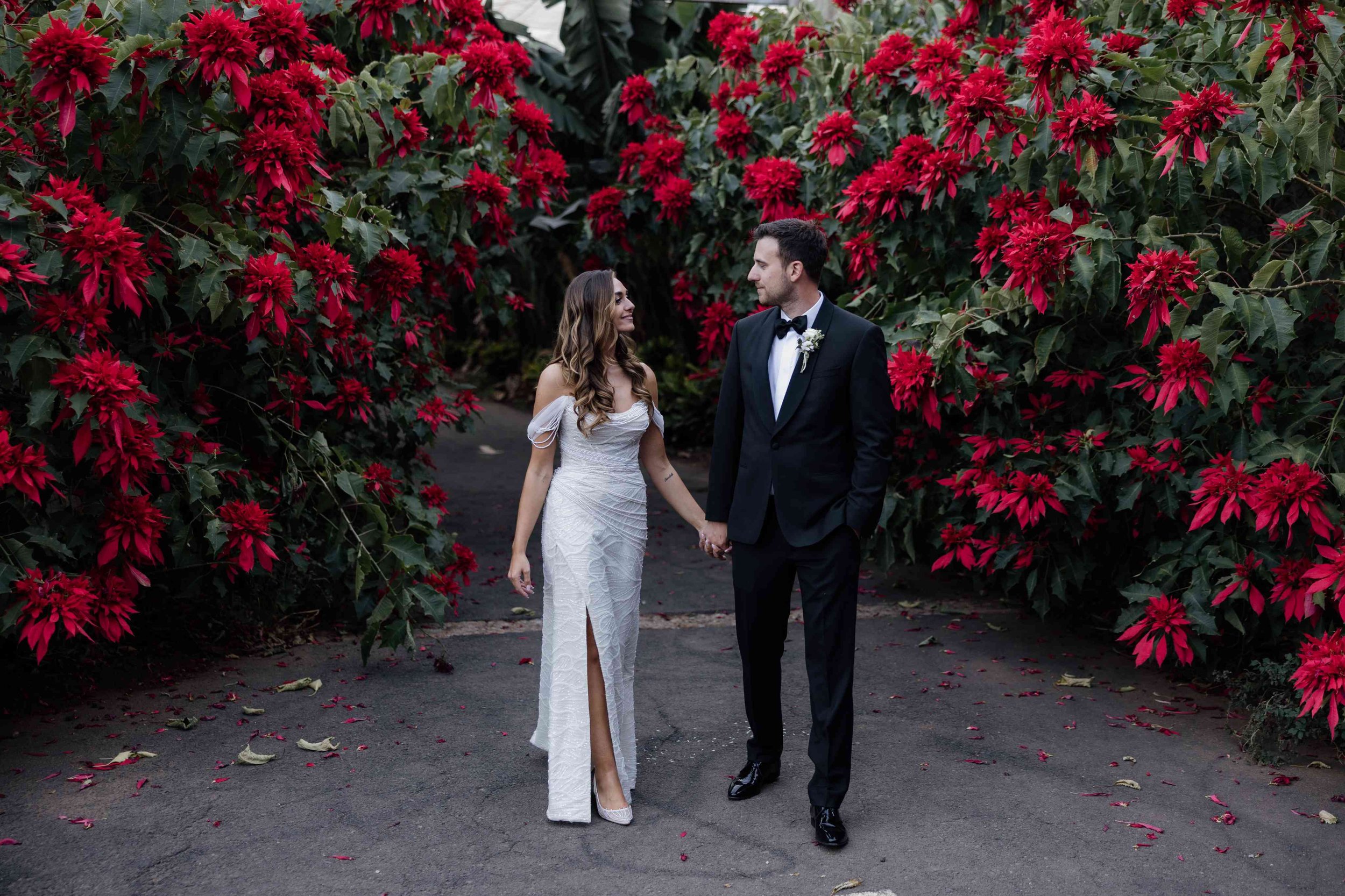 P&I- Wedding in Tenerife - Licandro Weddings - Tenerife Wedding Planner - Finca Wedding - Tenerife Wedding Photographer - Weddings in Tenerife - Bespoke Wedding in Tenerife-563.jpg