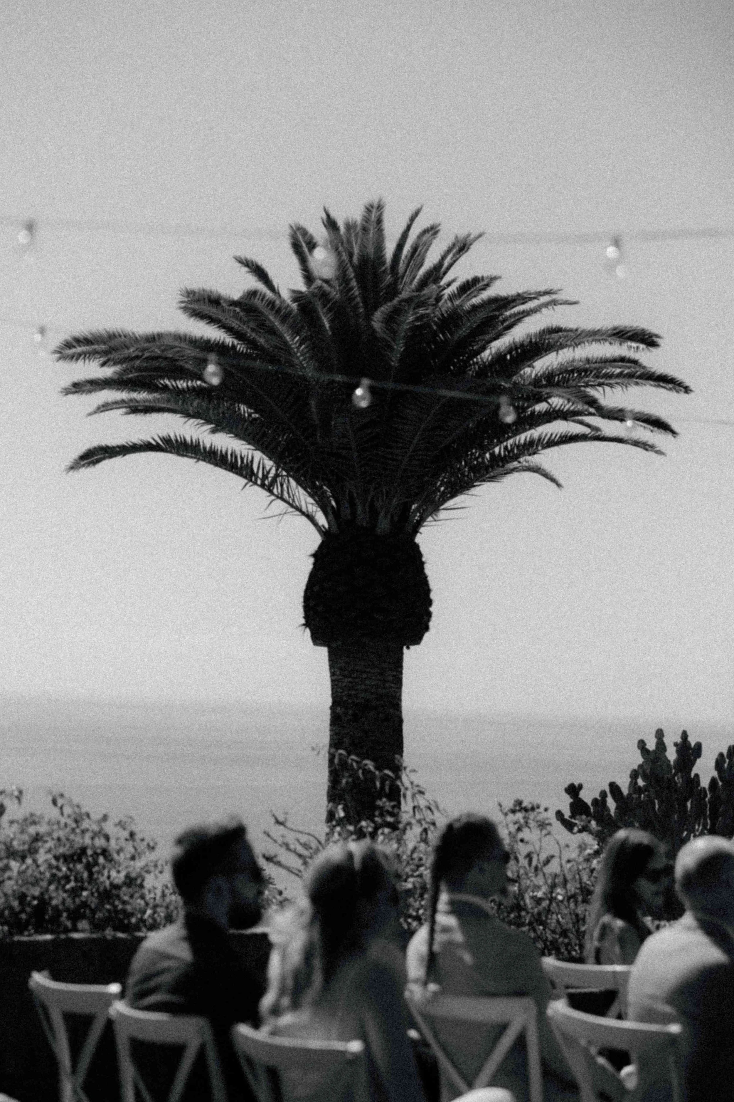 T&Y Sample - Wedding in Tenerife - Licandro Weddings - Tenerife Wedding Planner - Finca Wedding - Tenerife Wedding Photographer - Weddings in Tenerife - Bespoke Wedding in Tenerife-31.jpg