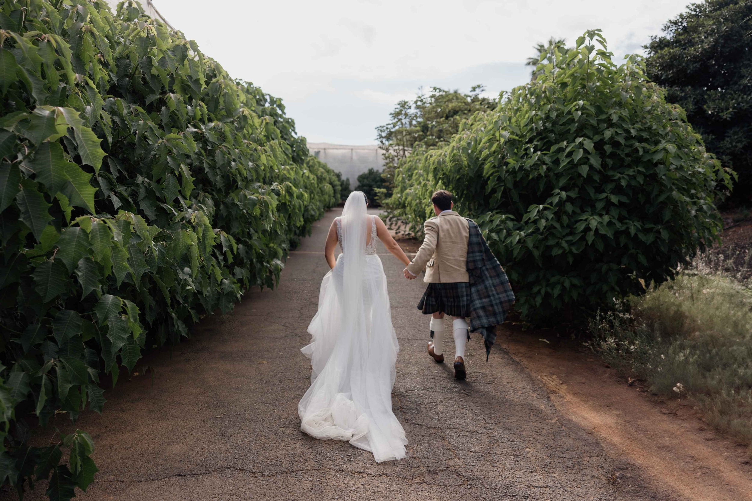 K&O - Wedding in Tenerife - Licandro Weddings - Tenerife Wedding Planner - Finca Wedding - Tenerife Wedding Photographer - Weddings in Tenerife - Bespoke Wedding in Tenerife-478.jpg