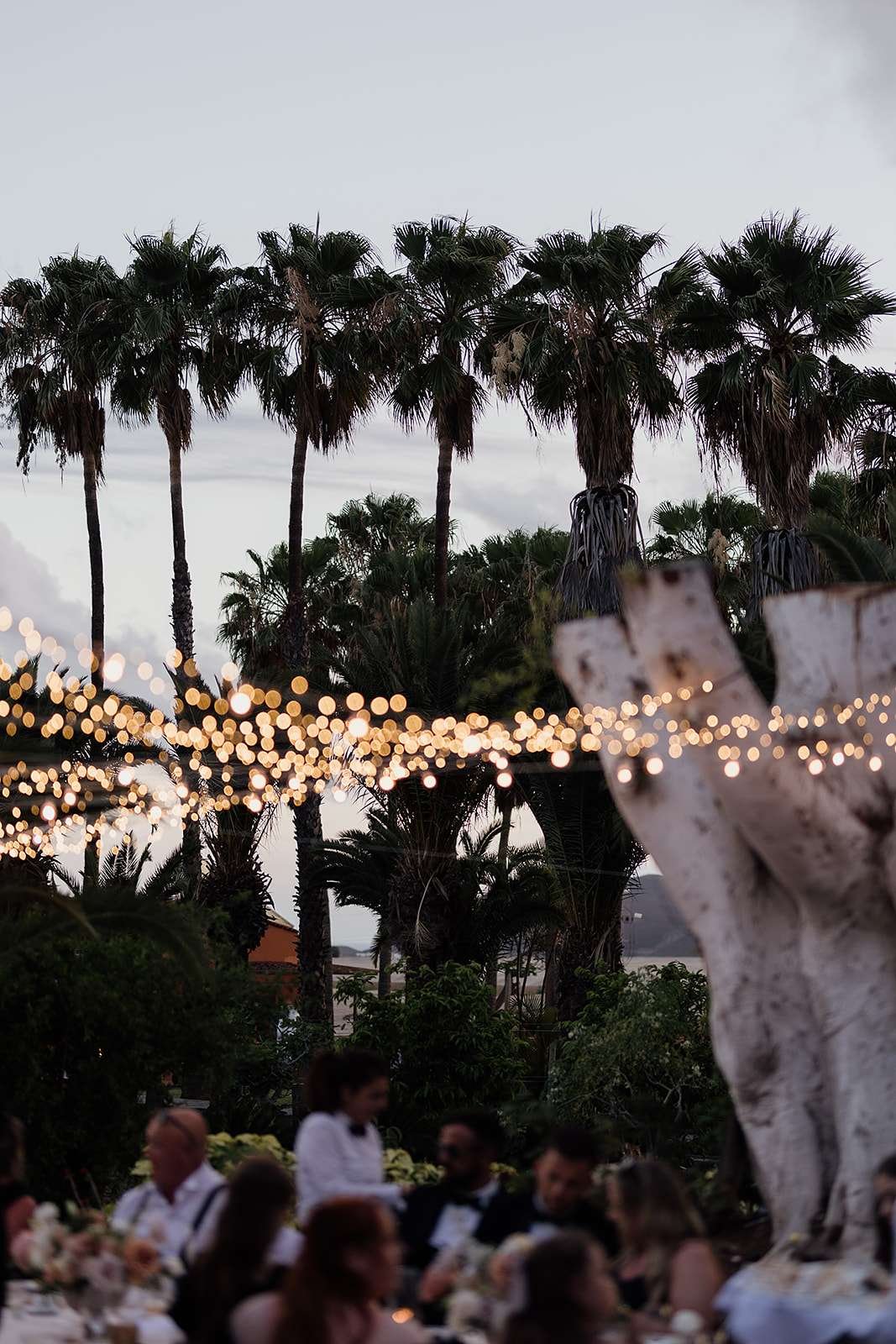 H&L - Licandro Weddings - Tenerife Wedding Planner - Finca Wedding - Tenerife Wedding Photographer - Weddings in Tenerife - Bespoke Wedding in Tenerife-893.jpg