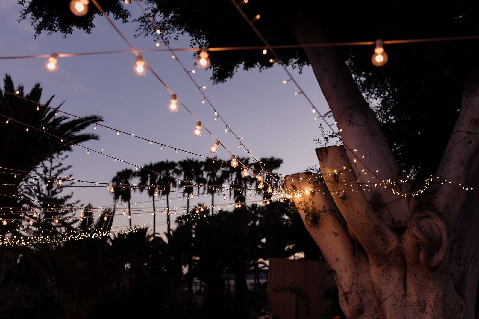 C&F - Licandro Weddings - Tenerife Wedding Planner - Finca Wedding - Tenerife Wedding Photographer - Weddings in Tenerife - Bespoke Wedding in Tenerife-698.jpg