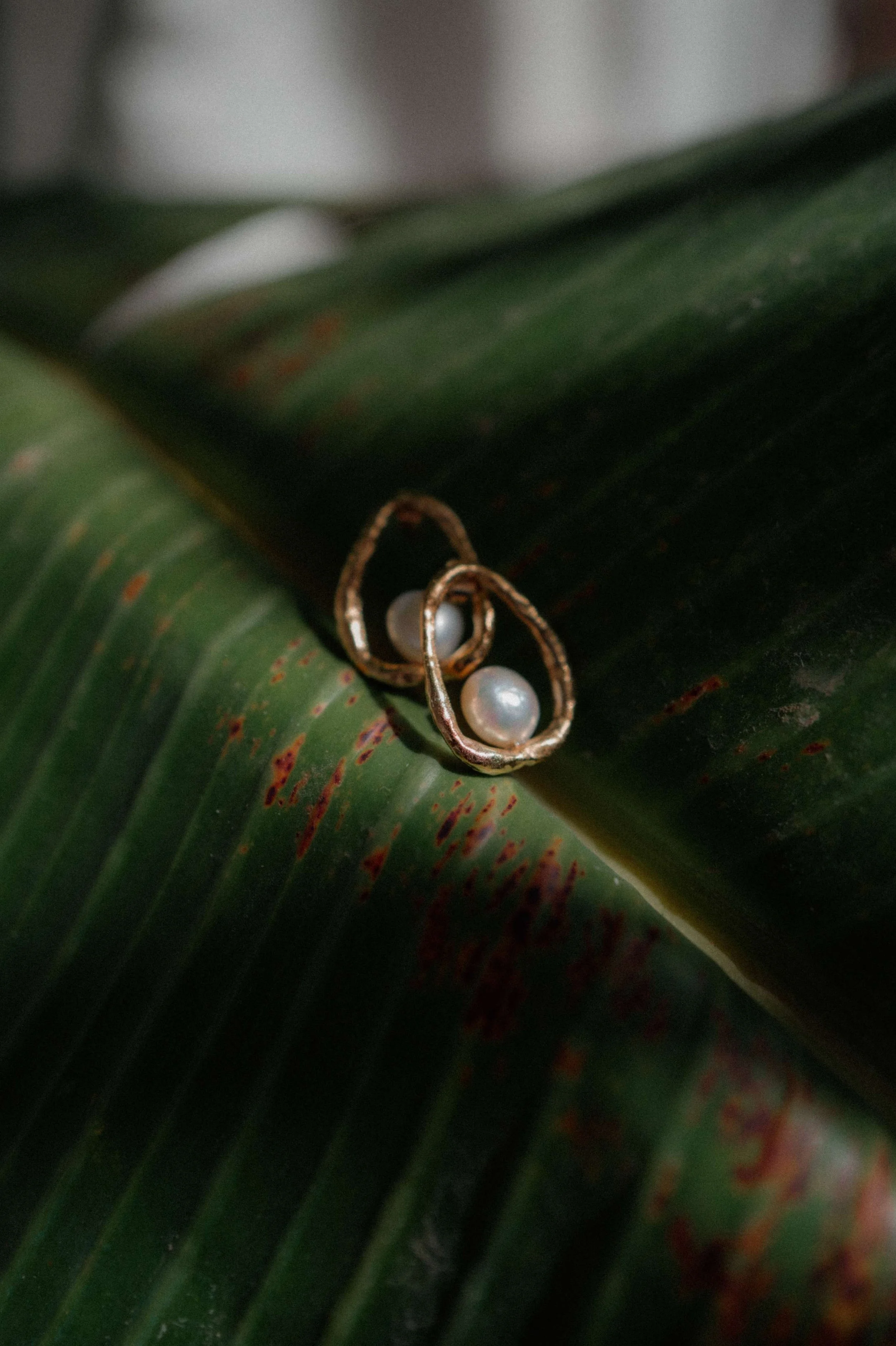 M&J Sample- Licandro Weddings - Tenerife Wedding Planners - Wedding in Tenerife - Finca Wedding Tenerife - Private Venue Tenerife-4.jpg