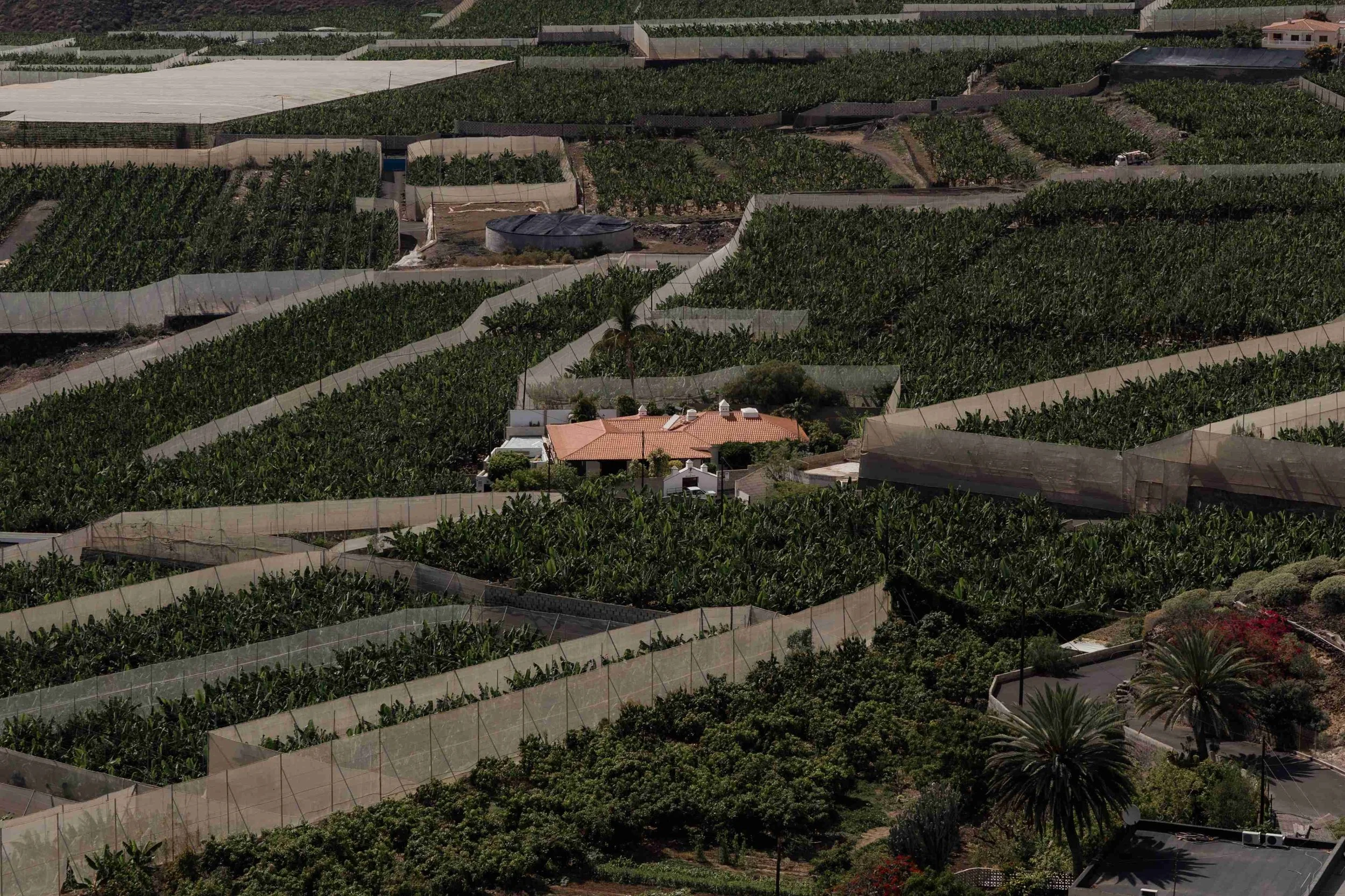 K&O- Licandro Weddings - Tenerife Wedding Planners - Wedding in Tenerife - Finca Wedding Tenerife - Private Venue Tenerife-489.jpg