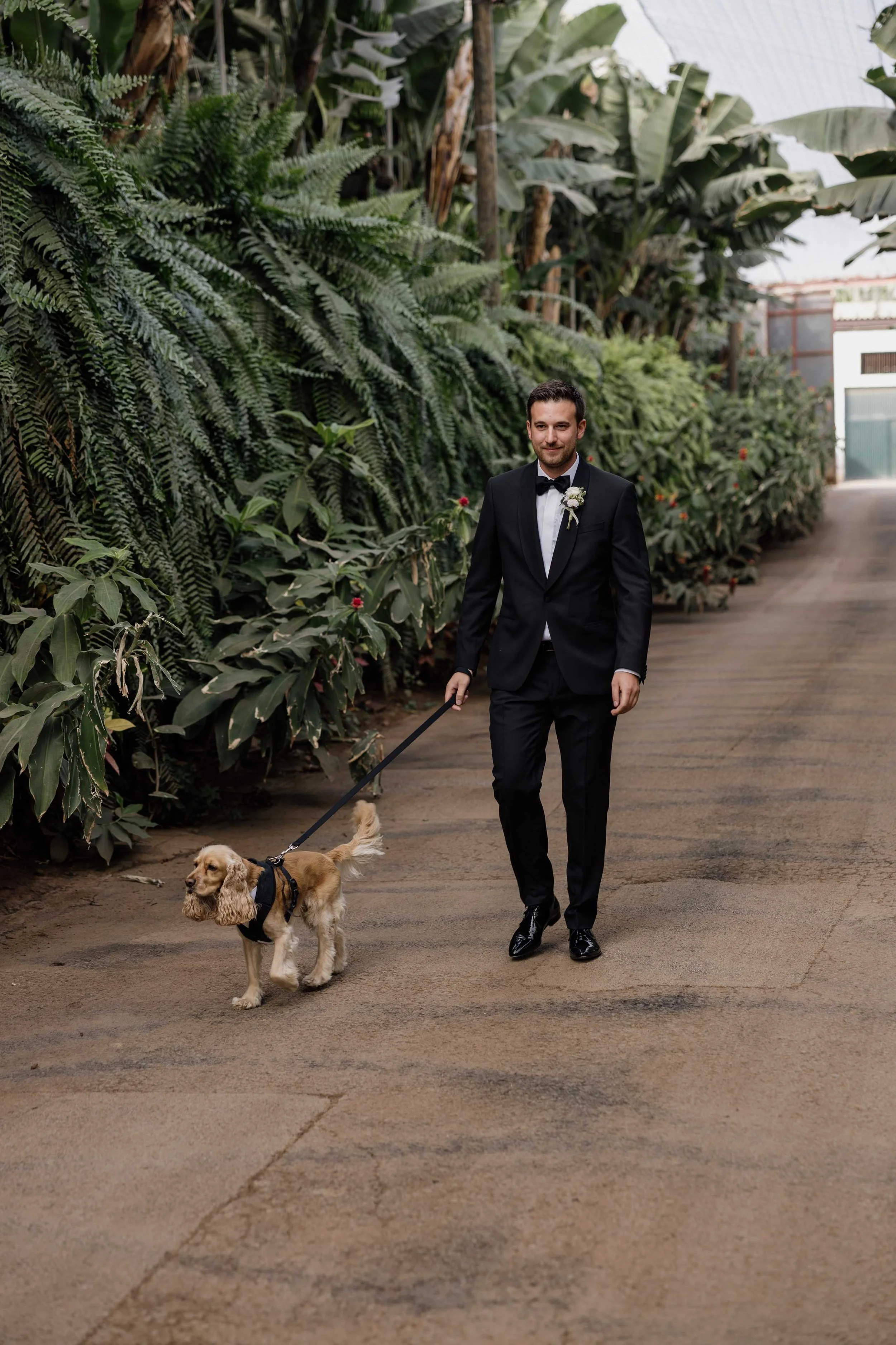 P&I- Wedding in Tenerife - Licandro Weddings - Tenerife Wedding Planner - Finca Wedding - Tenerife Wedding Photographer - Weddings in Tenerife - Bespoke Wedding in Tenerife-191.jpg