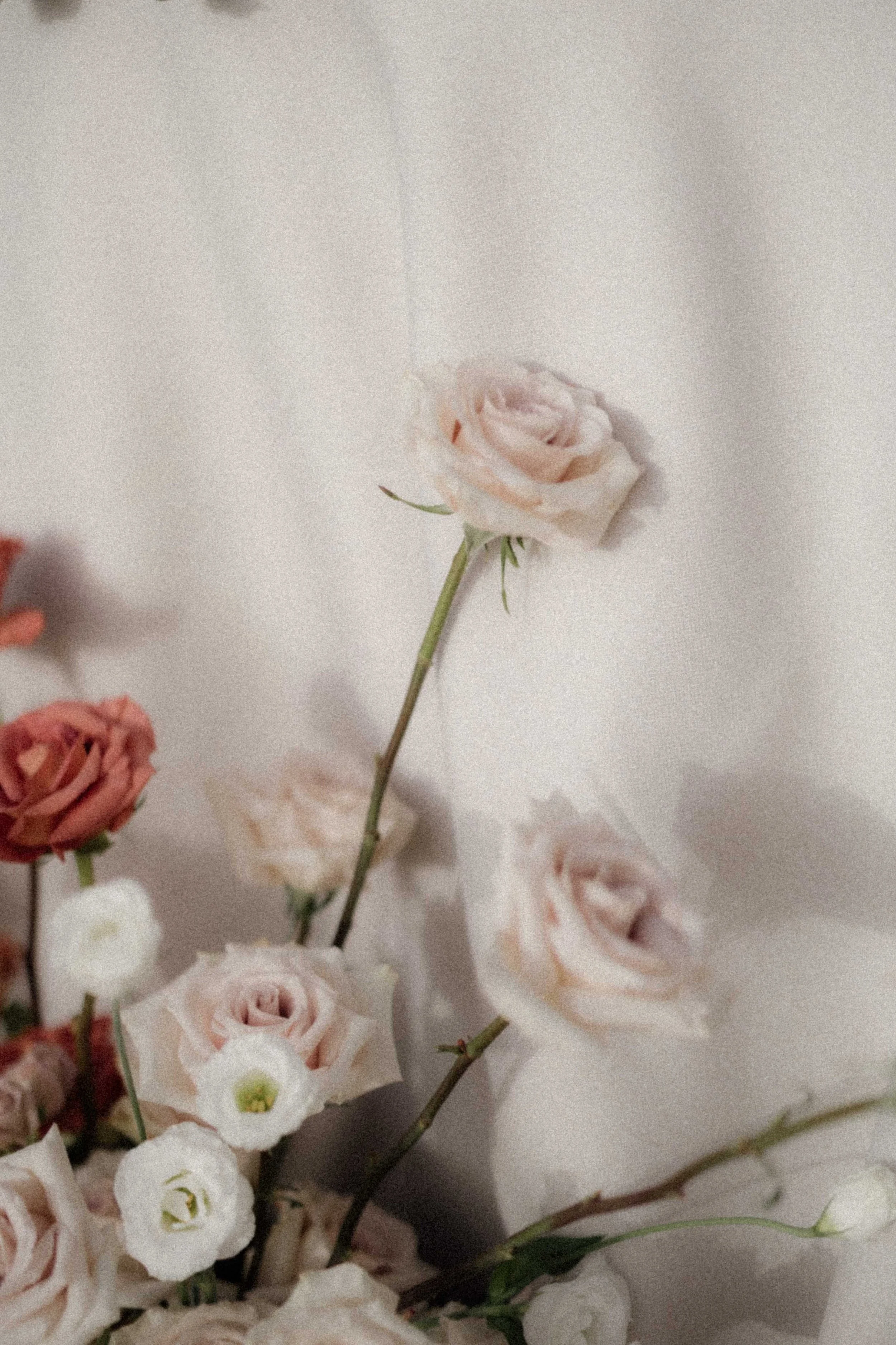 Close-up of a bouquet of roses with pink, white, and peach blooms against a plain background.
